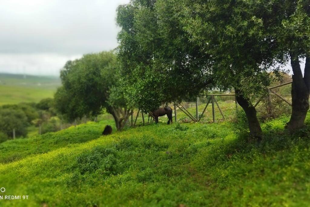 Finca La Tranquila
