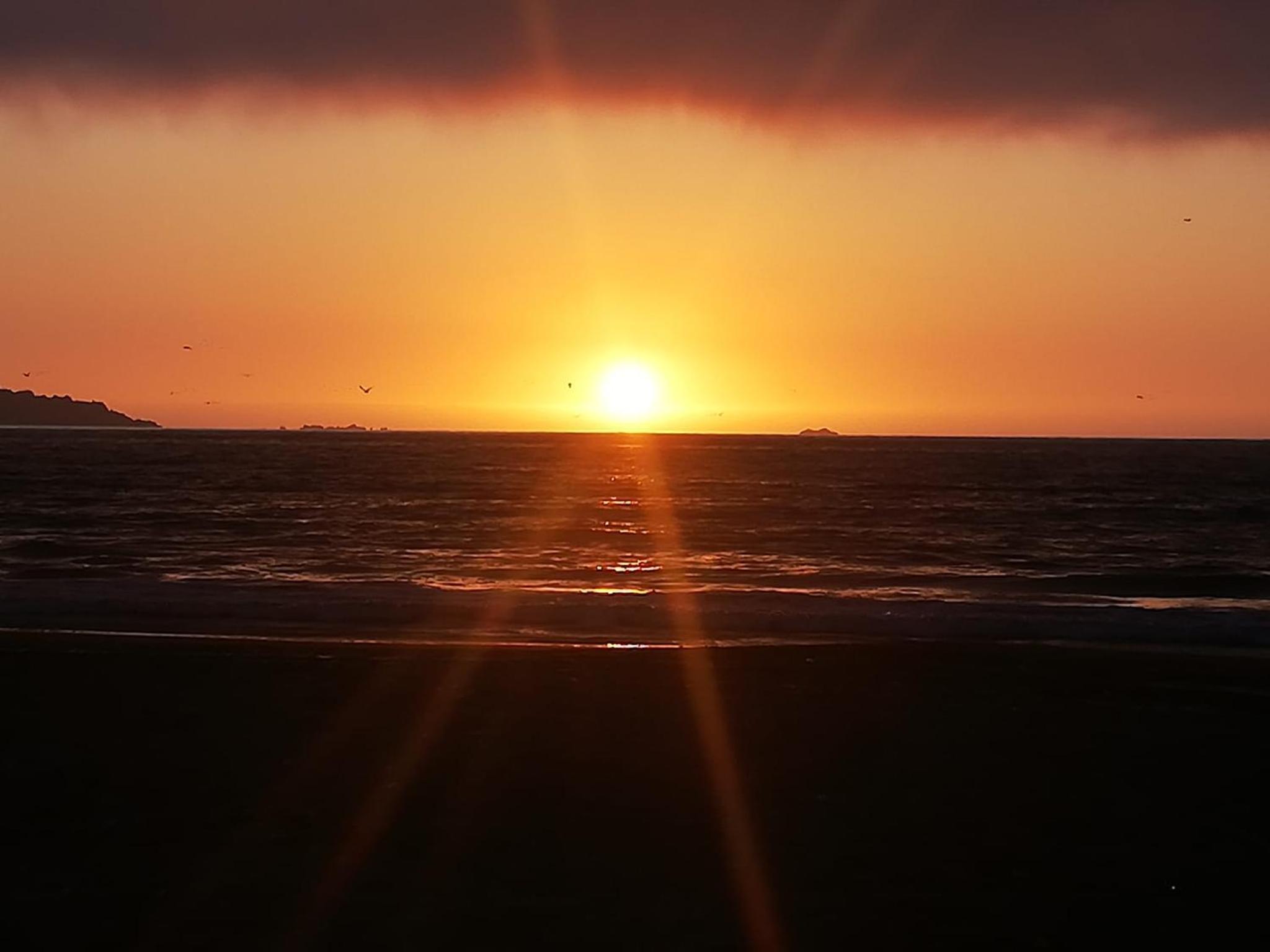Reinos Griegos en La Serena