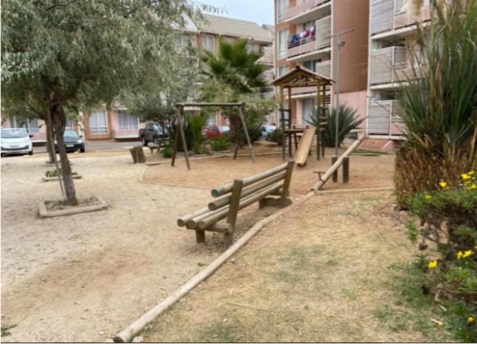 Reinos Griegos en La Serena