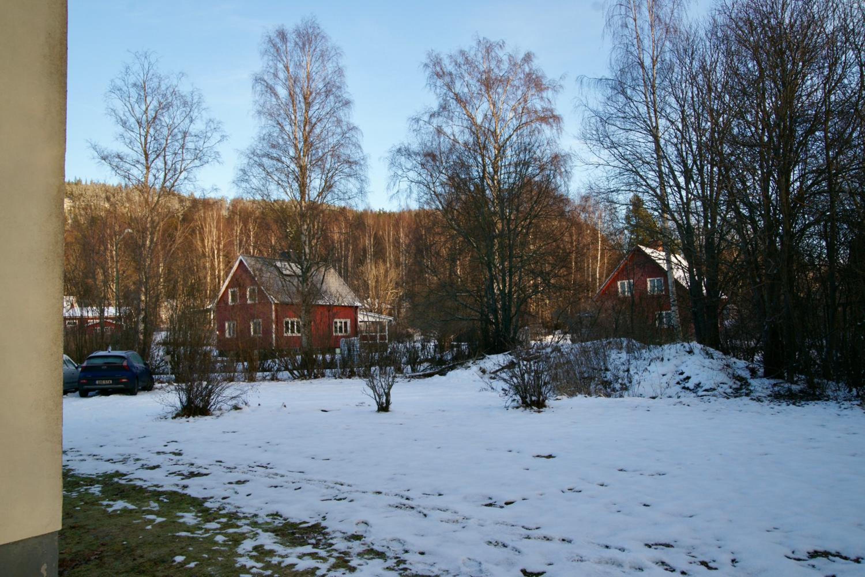 Photo 37