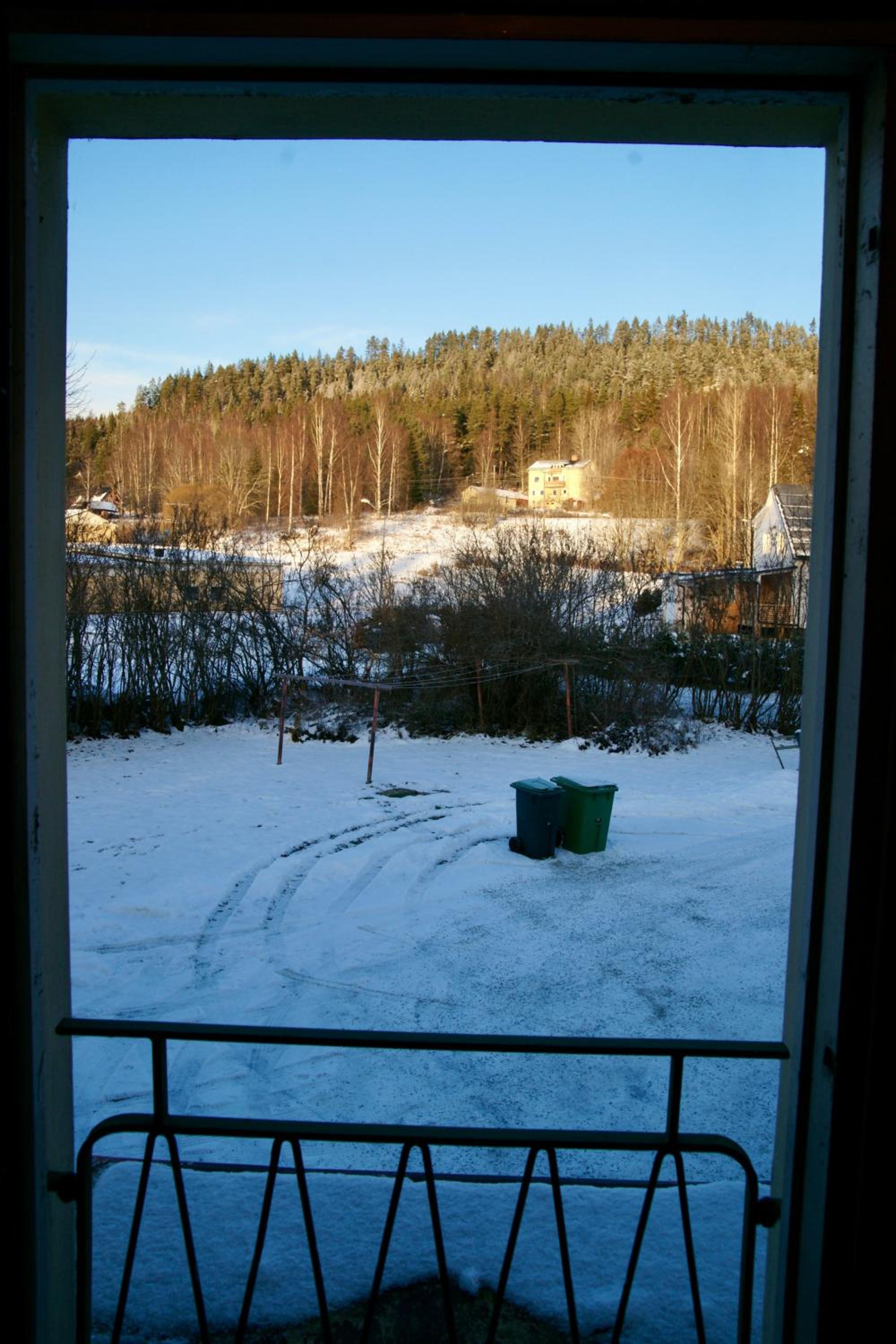 Photo 44