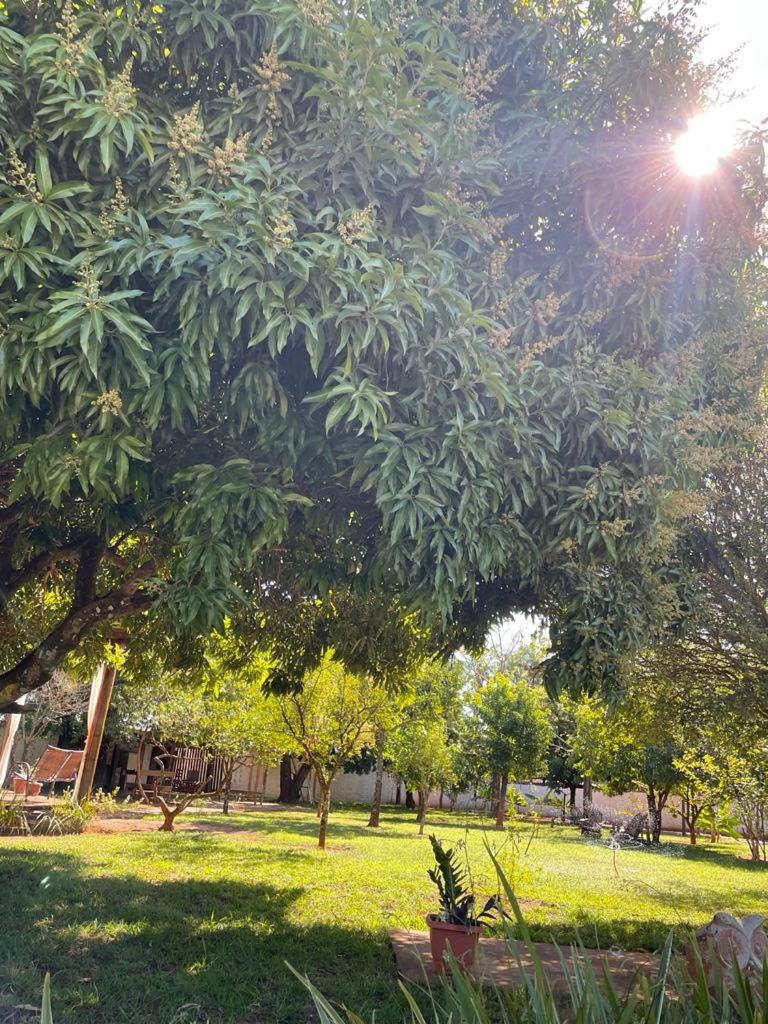 Photo 35