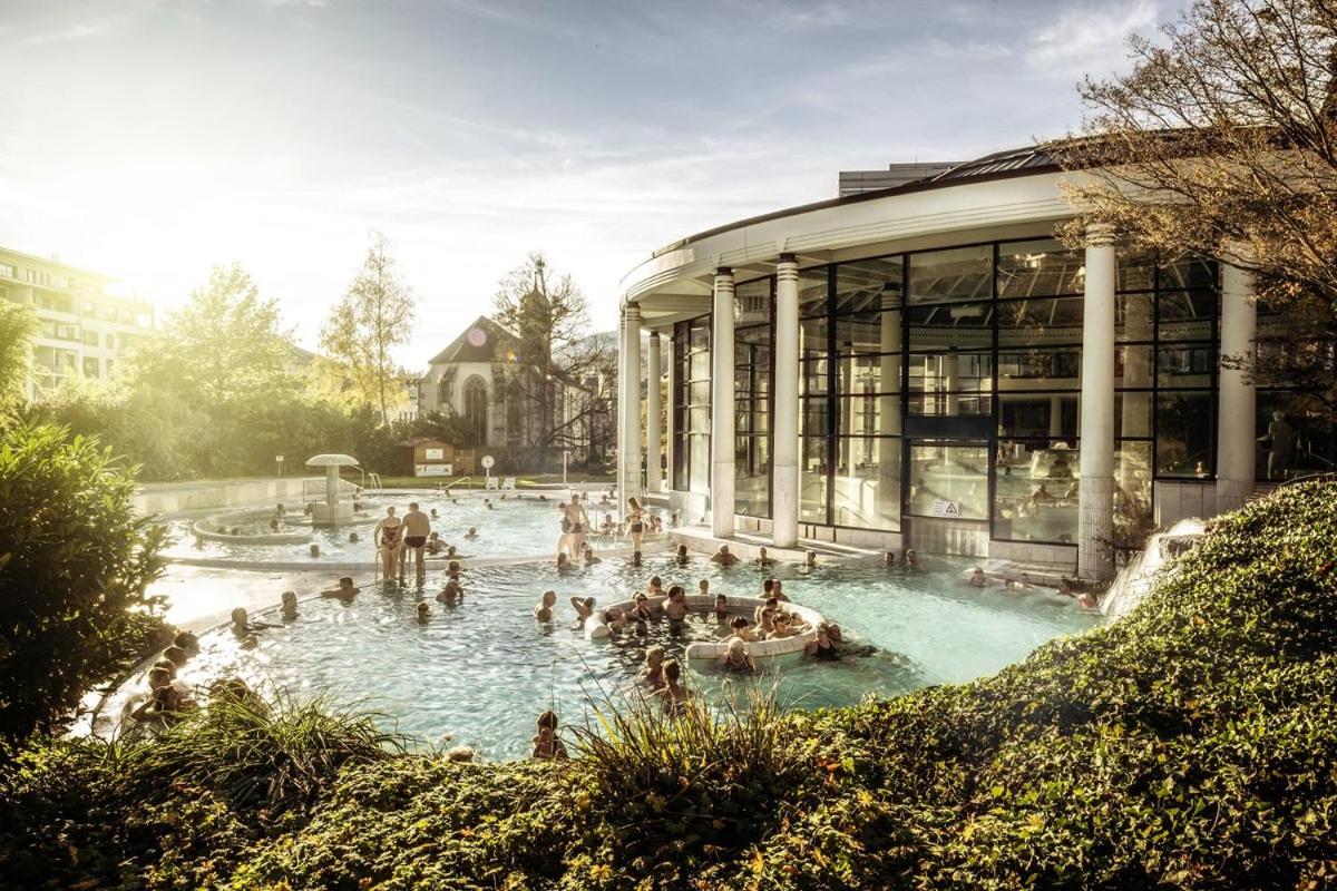 Eckberg Apartments - near City Centre & Nature