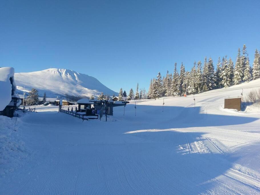 SKI INN/OUT - 4-room apartment w/3 bedroom view 5