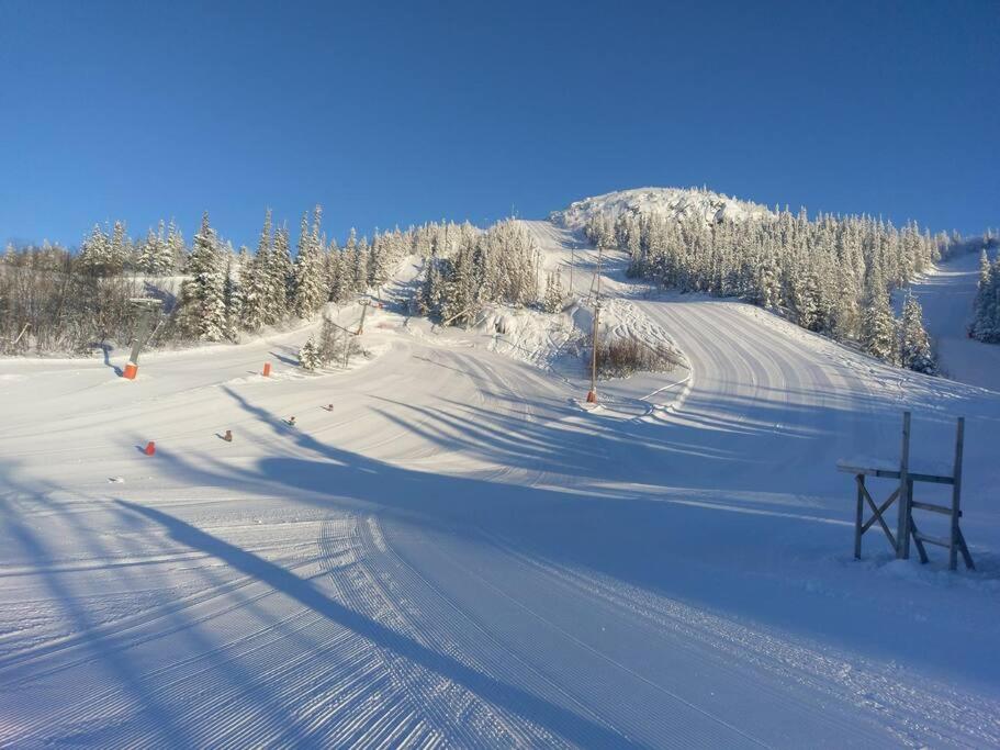 SKI INN/OUT - 4-room apartment w/3 bedroom view 4