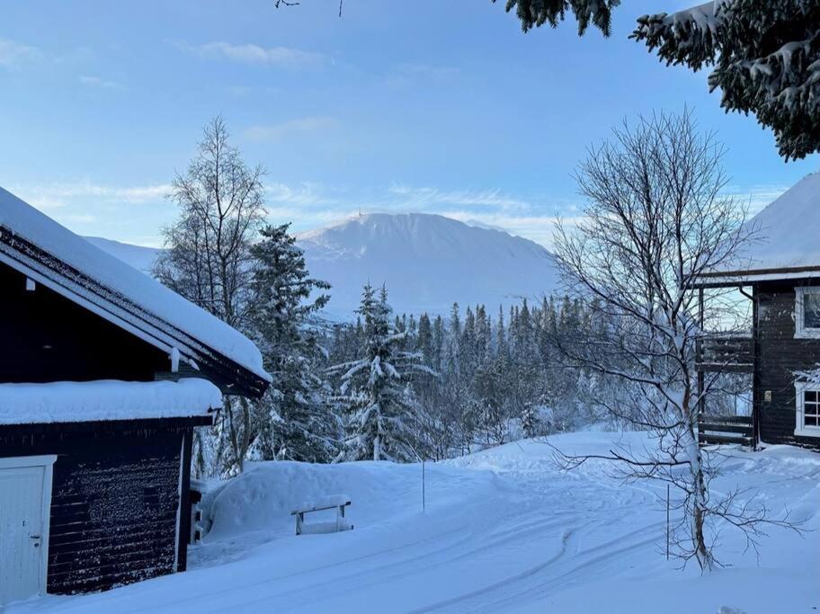 SKI INN/OUT - 4-room apartment w/3 bedroom view 3