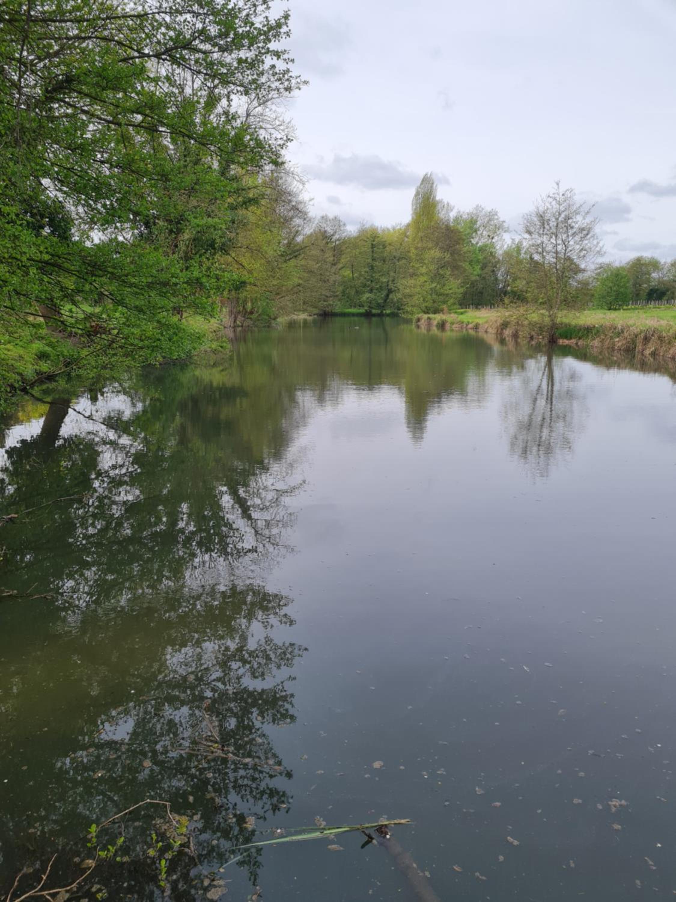 Roulotte d'Aquitaine view 4