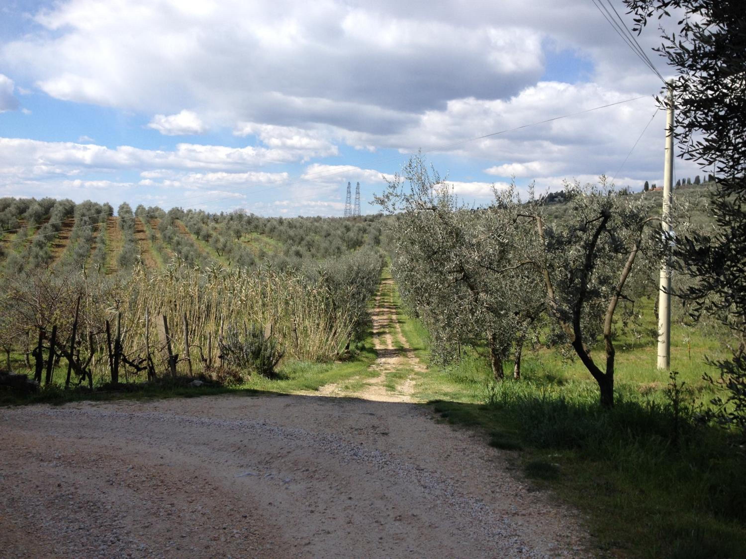 Agriturismo IL VIAIO