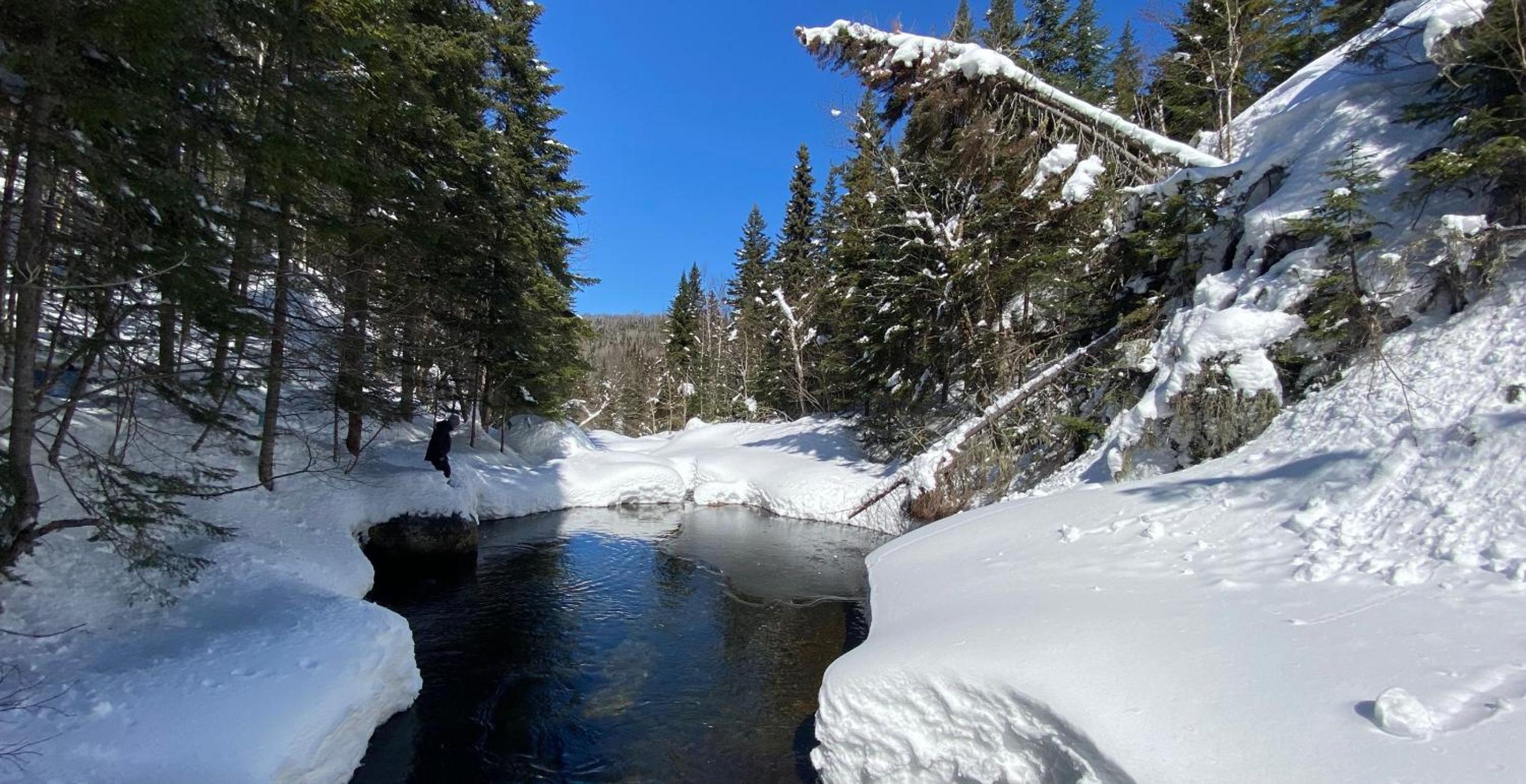 Momentôm Refuges Nature