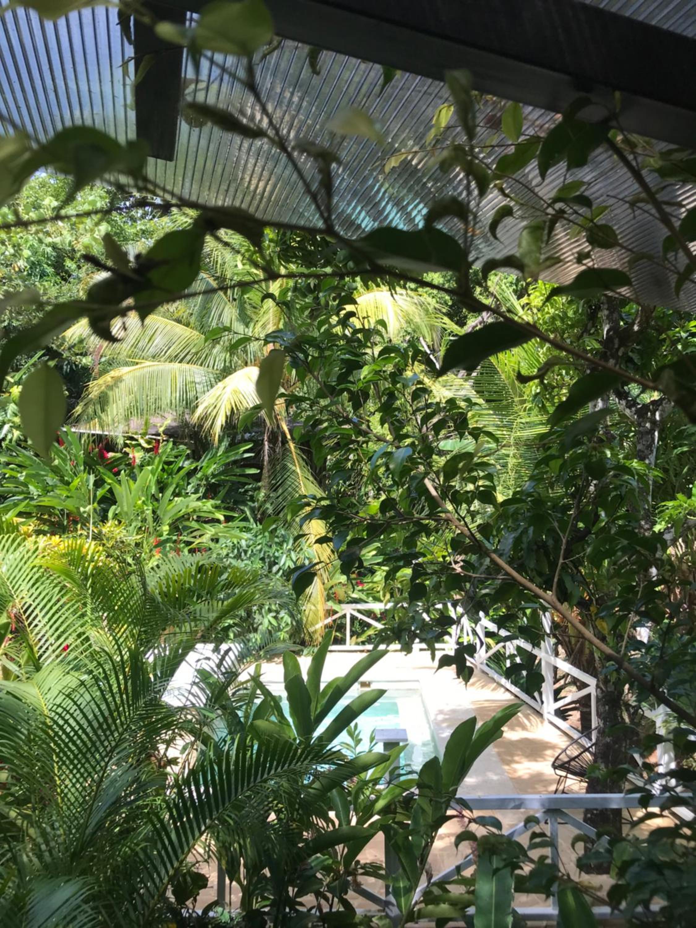 FLOR DE PARAISO BUNGALOWS