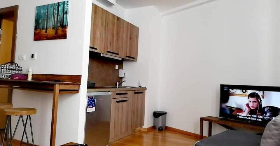 Apartman SUNNY Brzeće,Kopaonik
