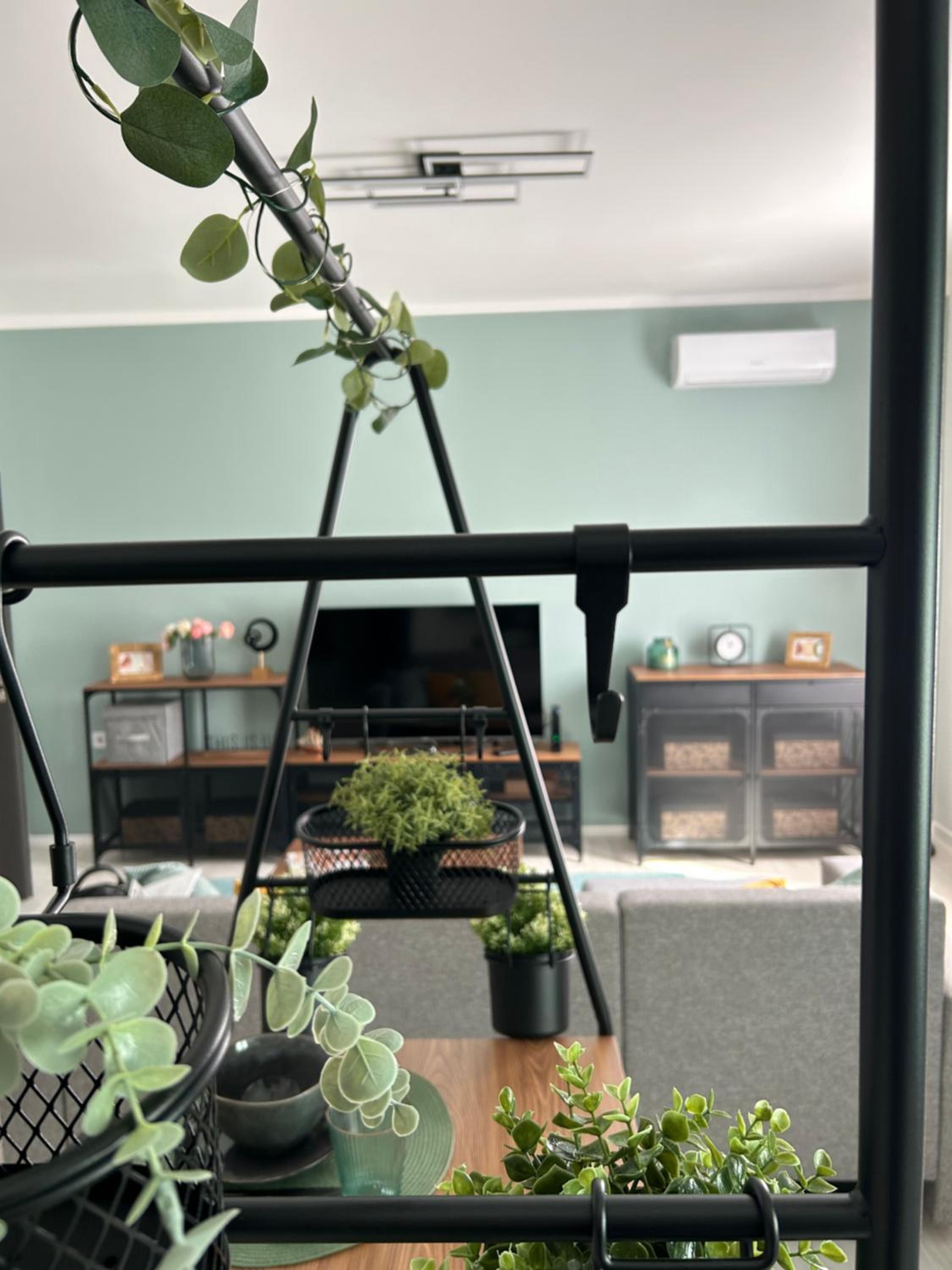 Sophie’s Urban Nest