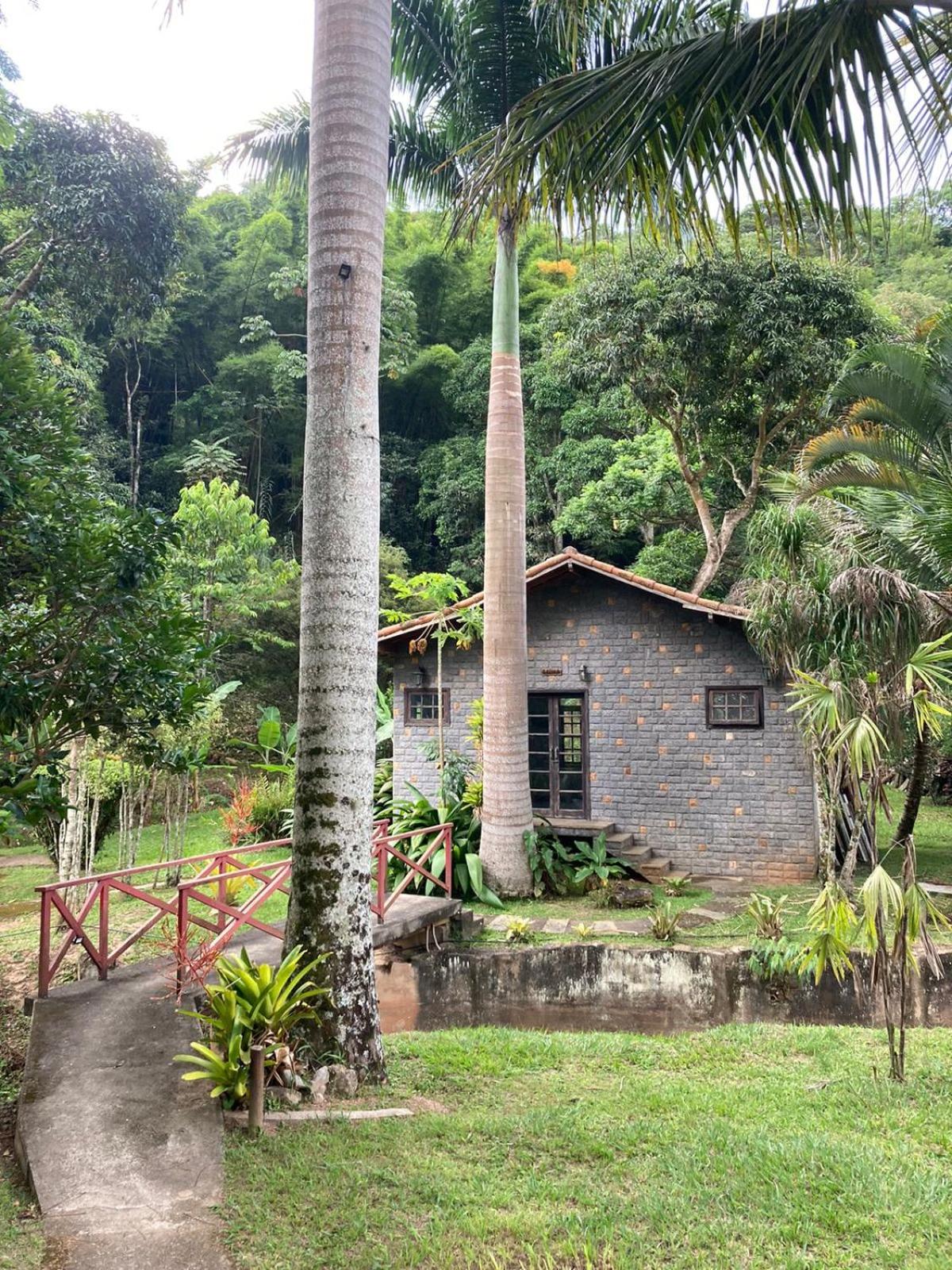 Pousada. Espatódea