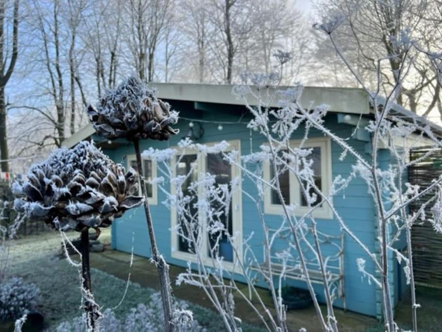 Tranquil Norfolk Log Cabin - Stunning Rural Sunset Views view 4