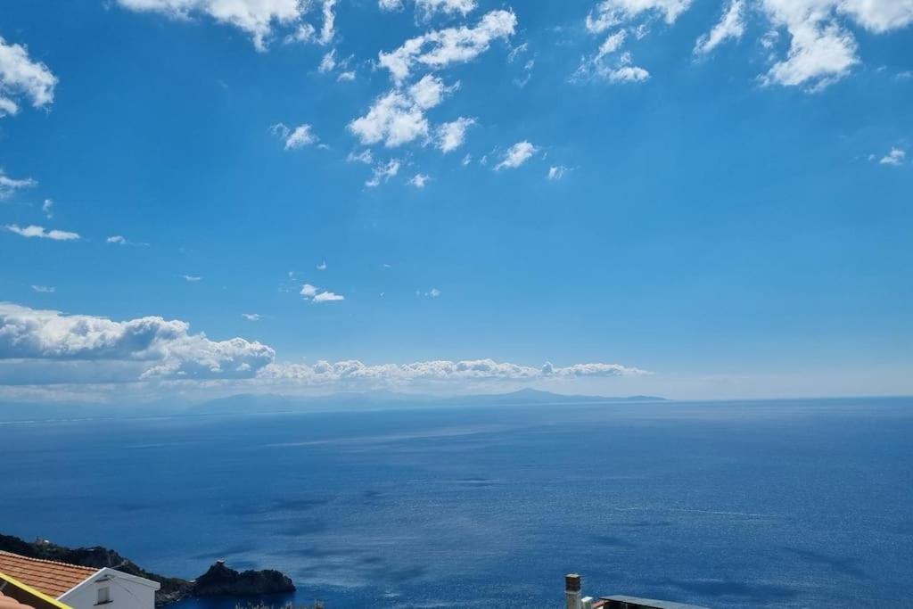 Grandmother's Attic photo 5