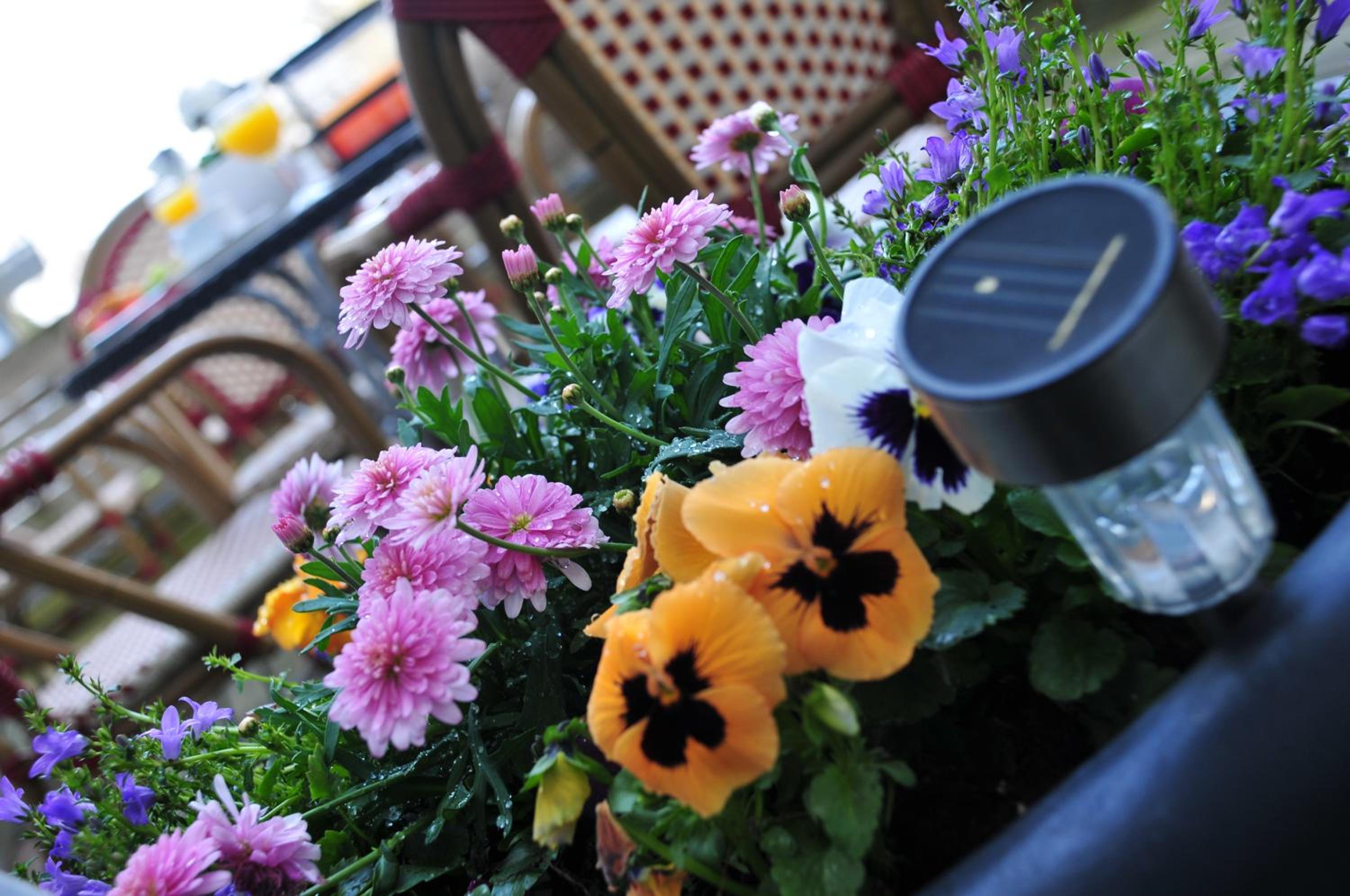Hannover Vacations - Hotel in Herrenhausen - Property Image 21