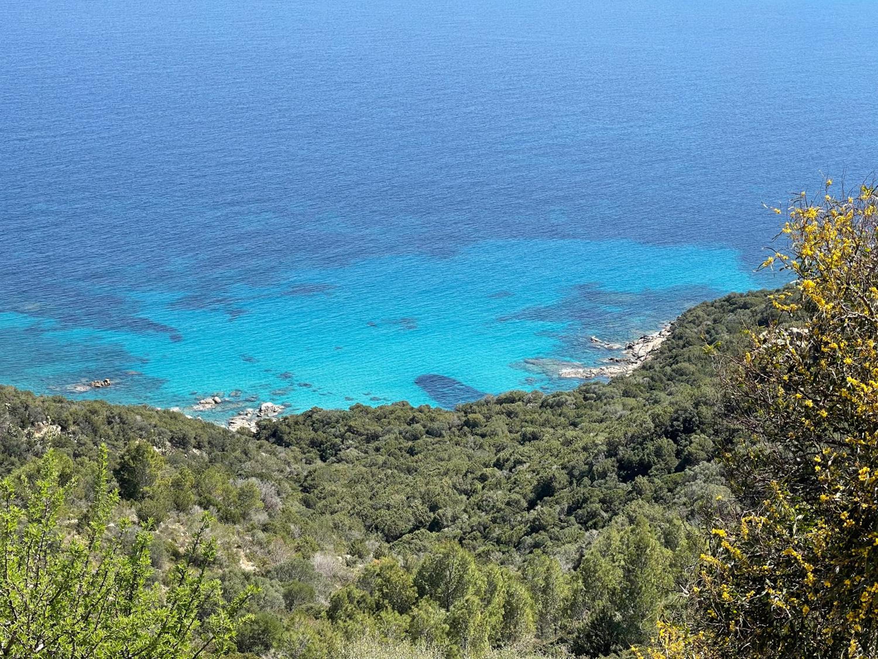 Villa Patrizia