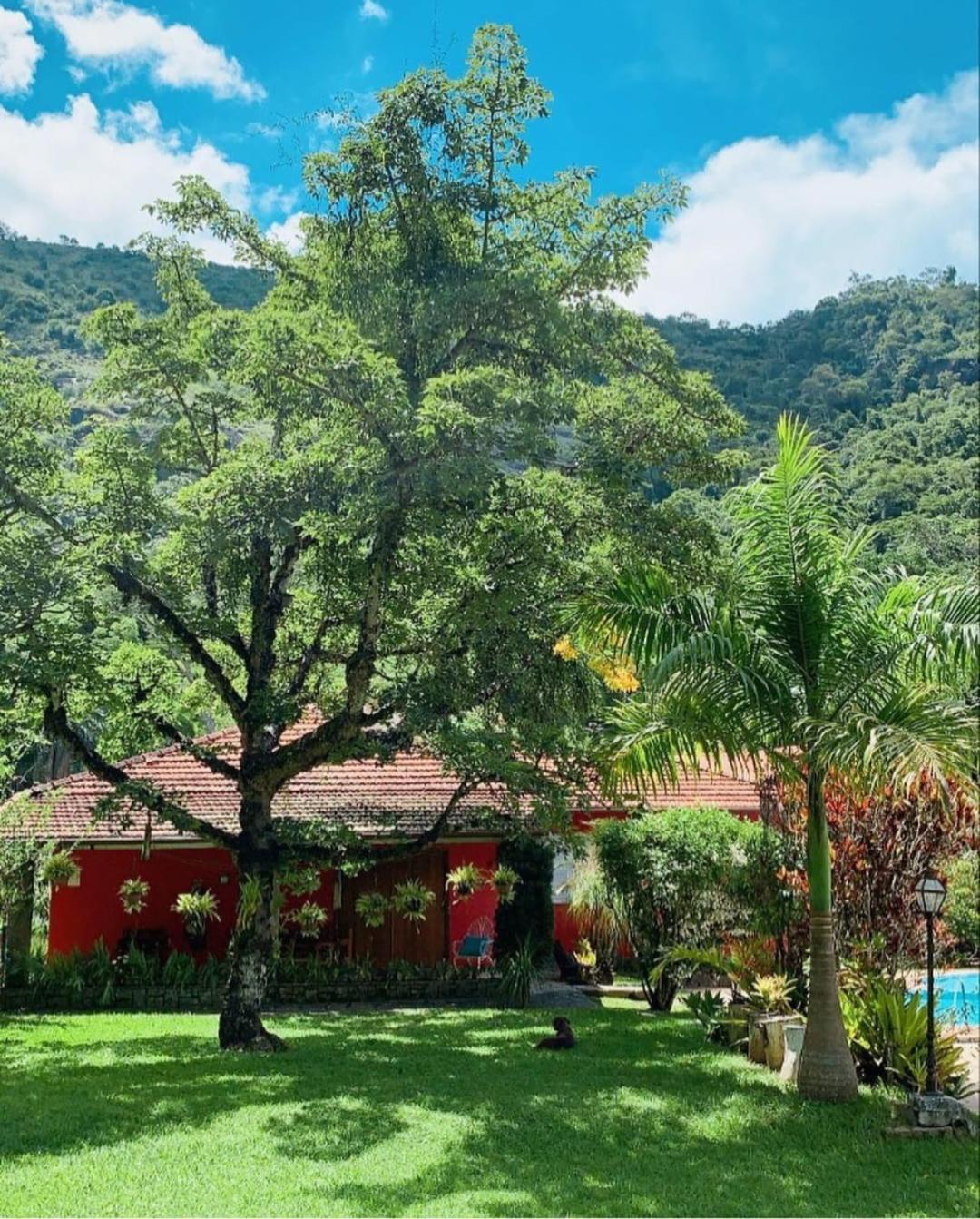 Pousada. Espatódea