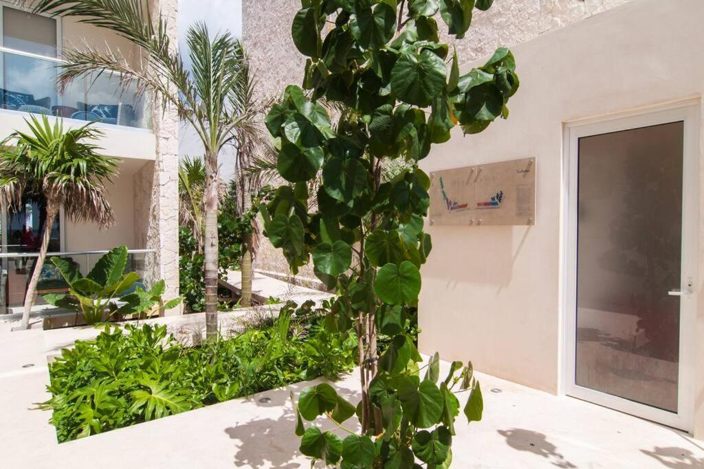Ground level Garden condo at Akumal south by TAO Santamar