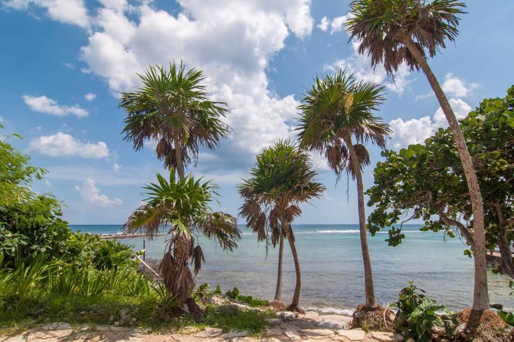 Ground level Garden condo at Akumal south by TAO Santamar