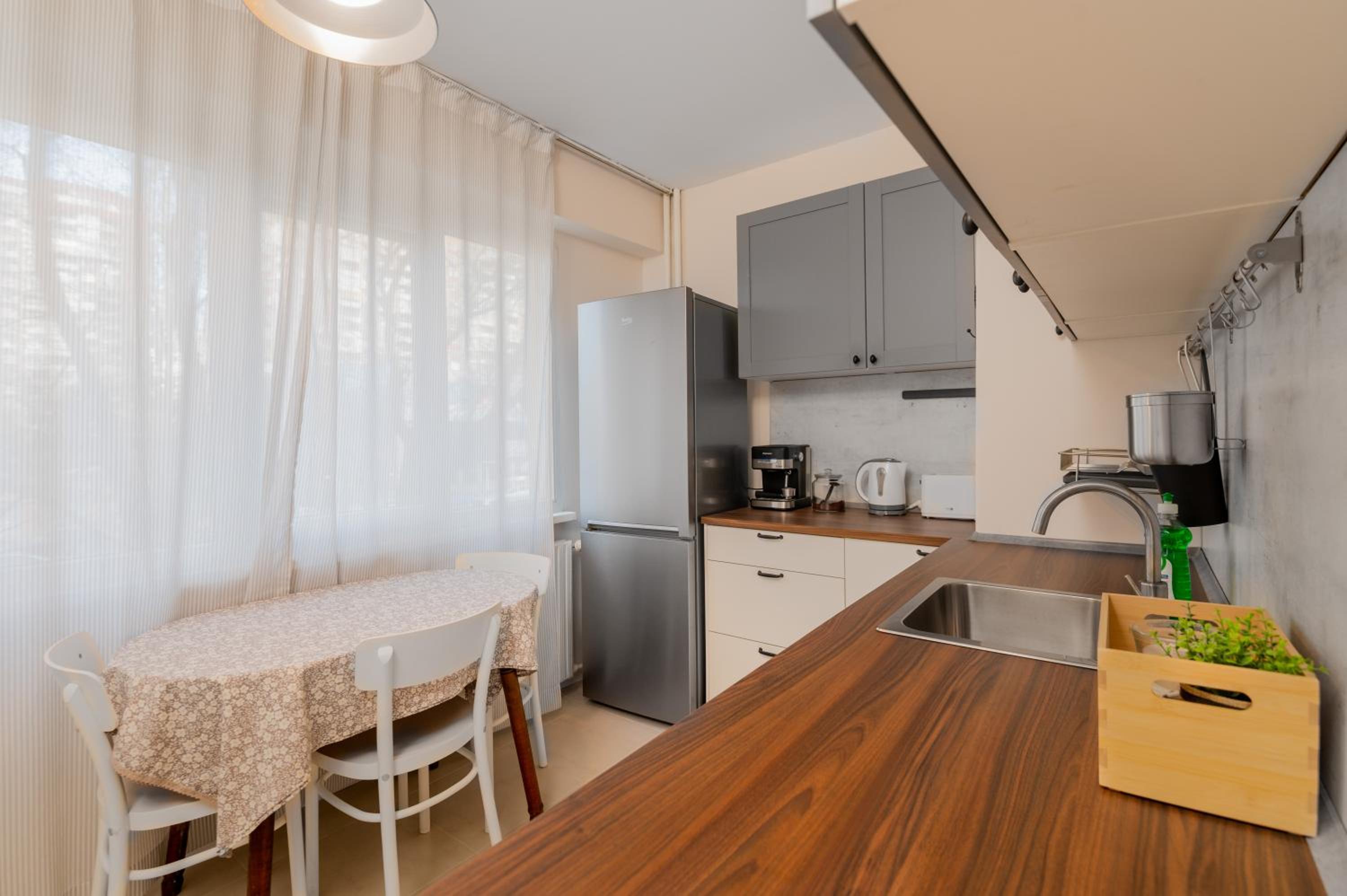 Homey 1-BD Apartment