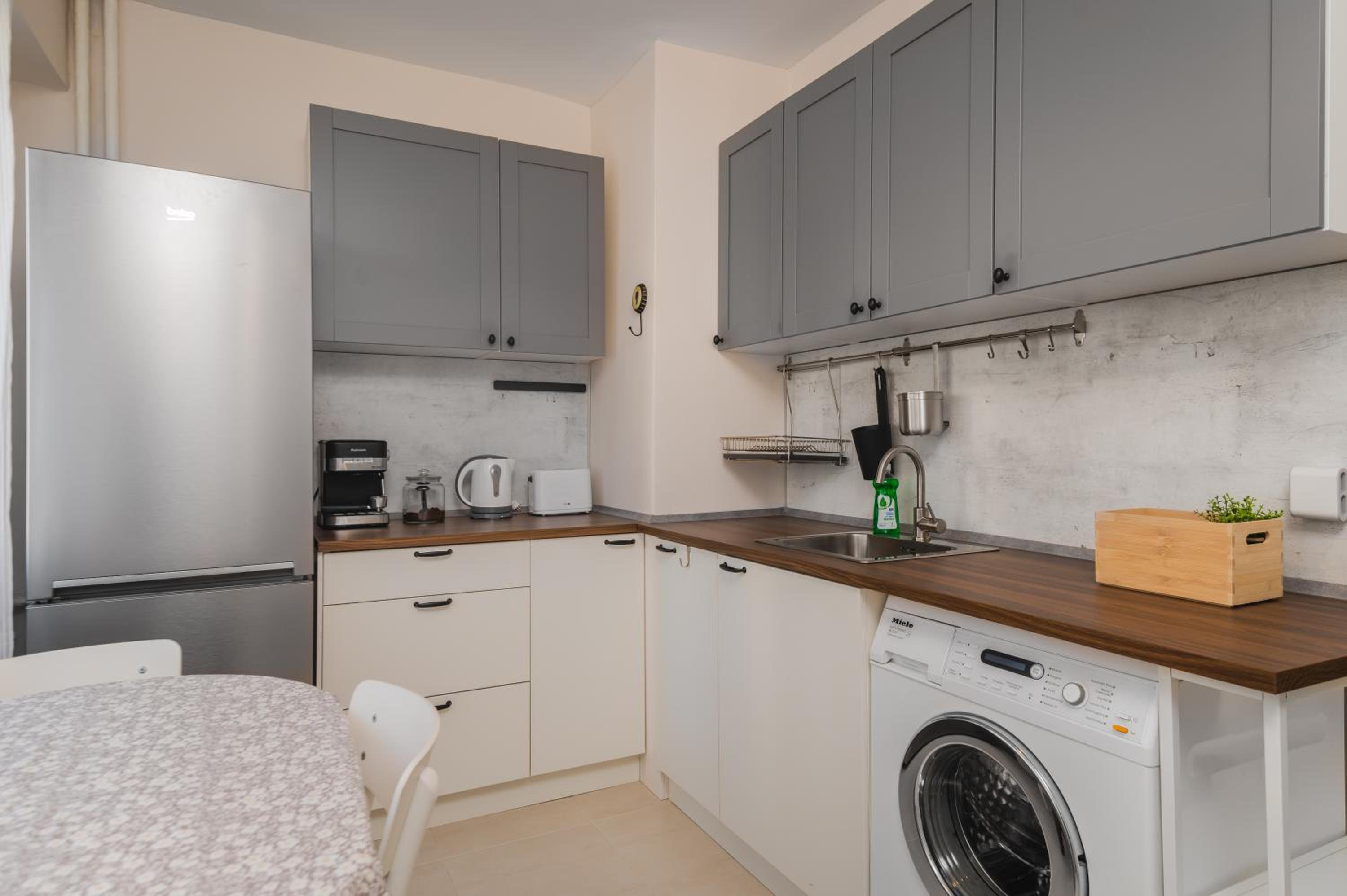 Homey 1-BD Apartment