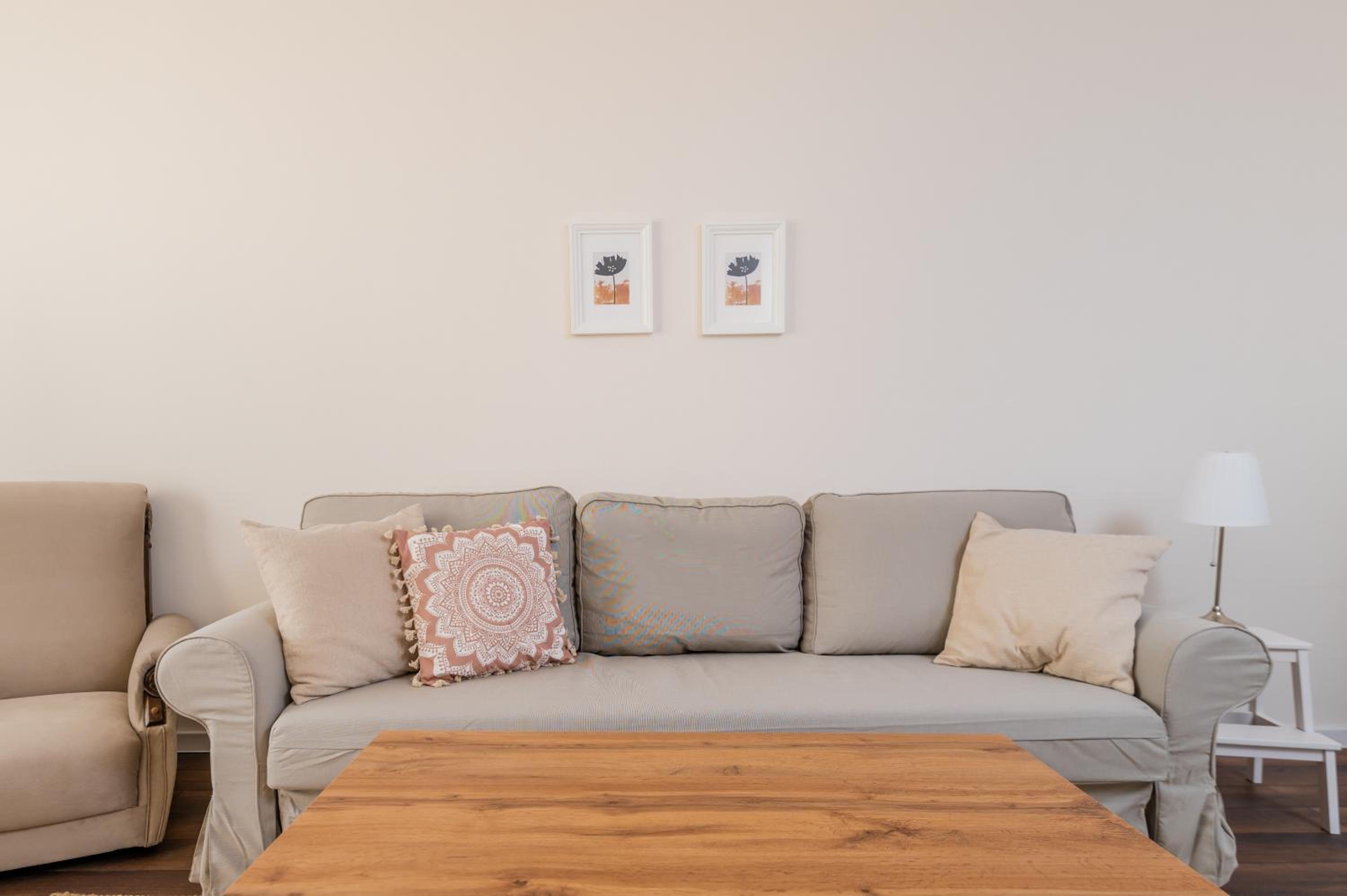 Homey 1-BD Apartment
