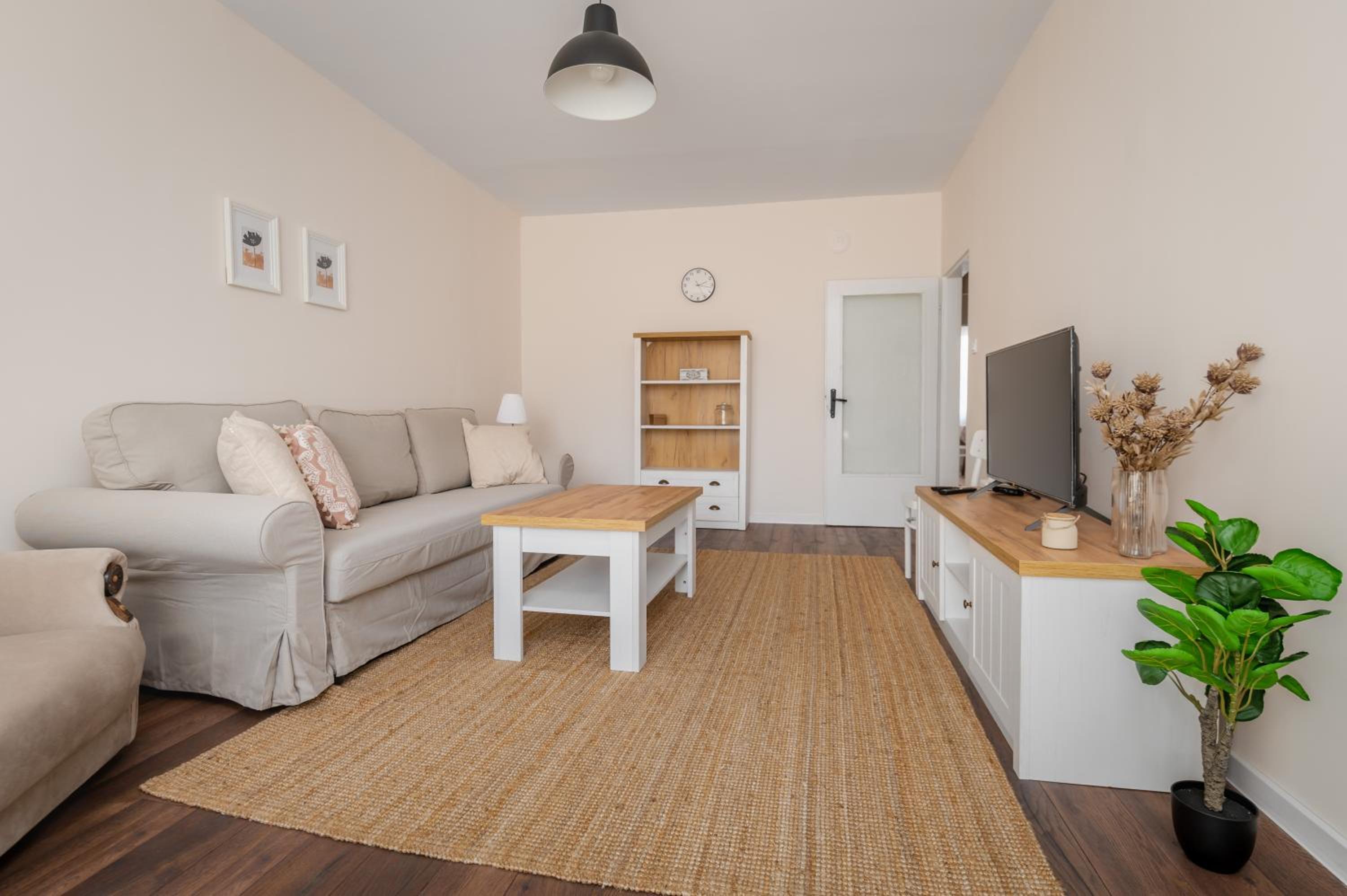 Homey 1-BD Apartment