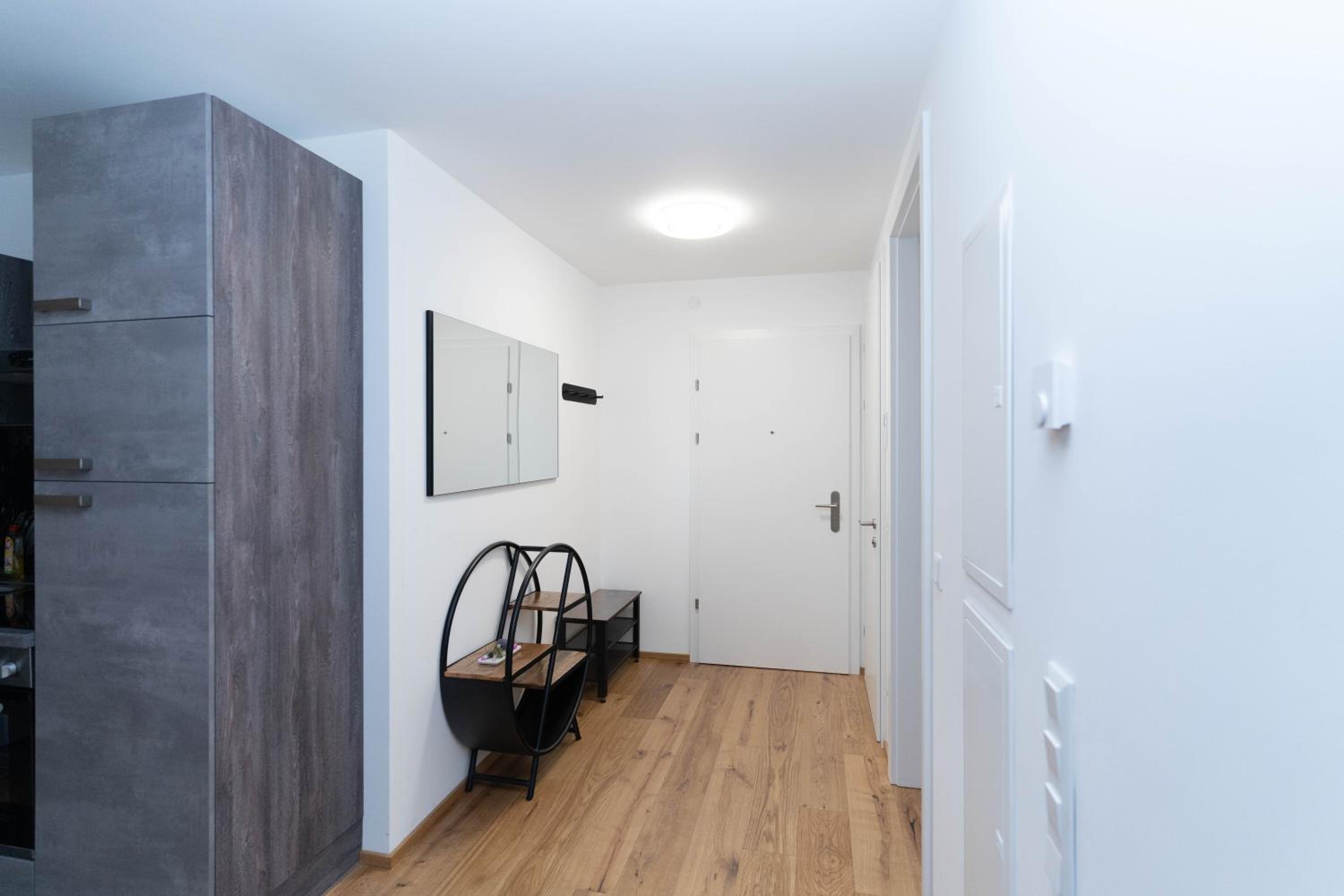 Luxurious apartment with big balcony near city center