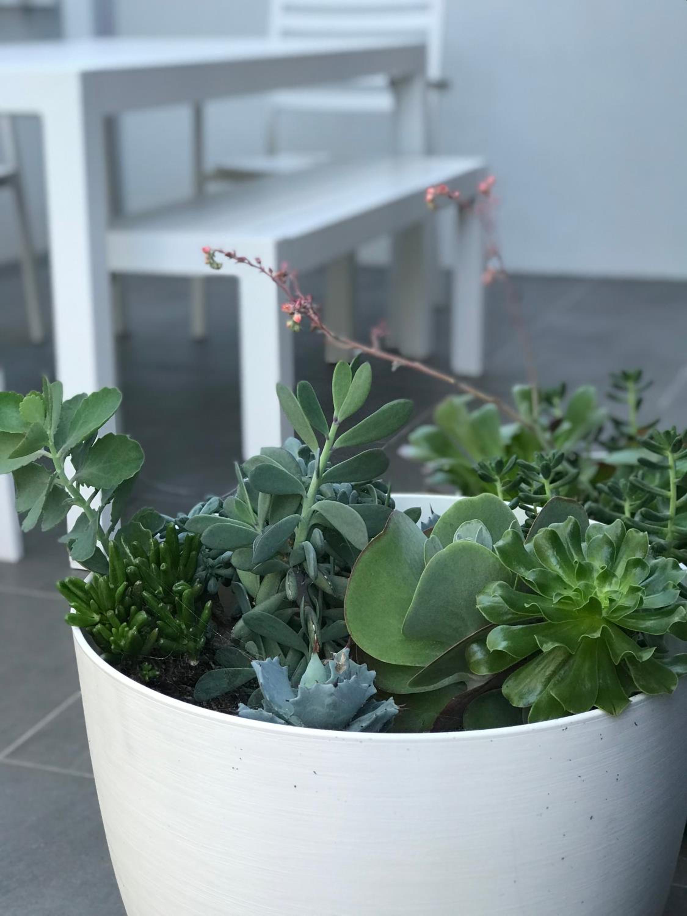 Location, location, location - ground floor