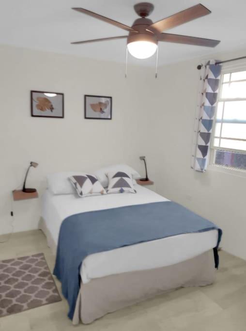 Private 3BR Tropical Paradise near Oistins