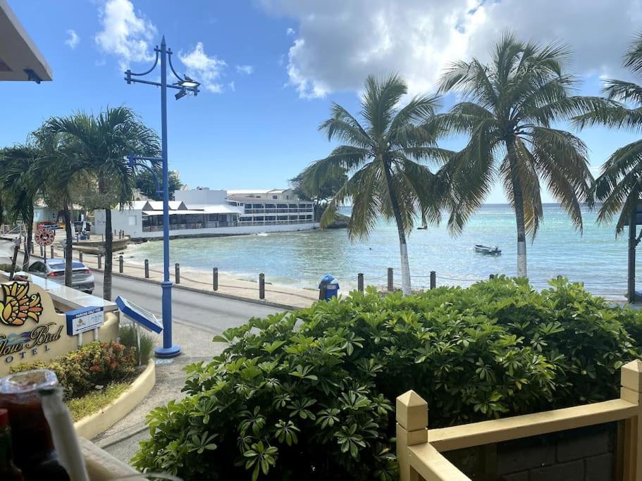 Private 3BR Tropical Paradise near Oistins