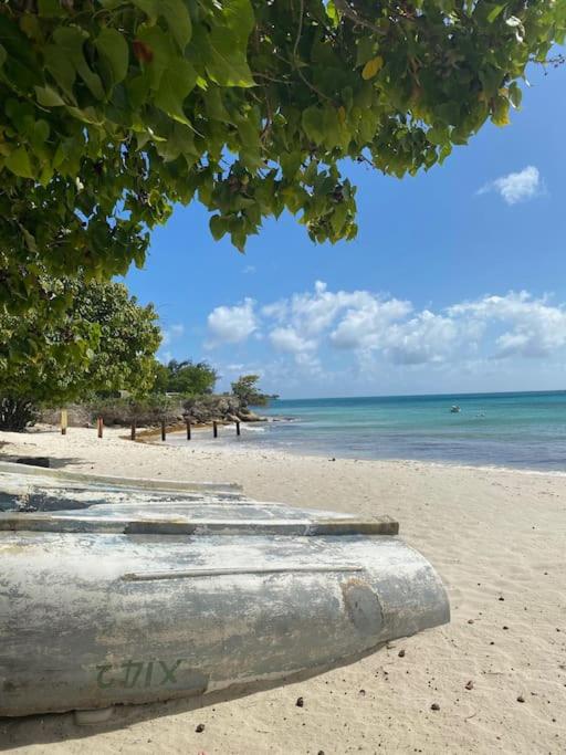 Private 3BR Tropical Paradise near Oistins