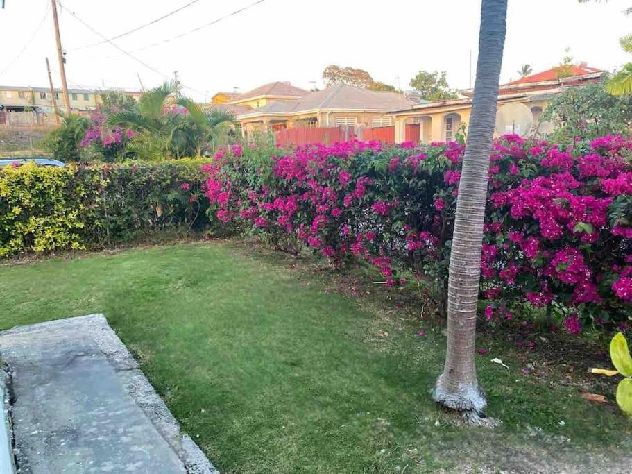 Private 3BR Tropical Paradise near Oistins