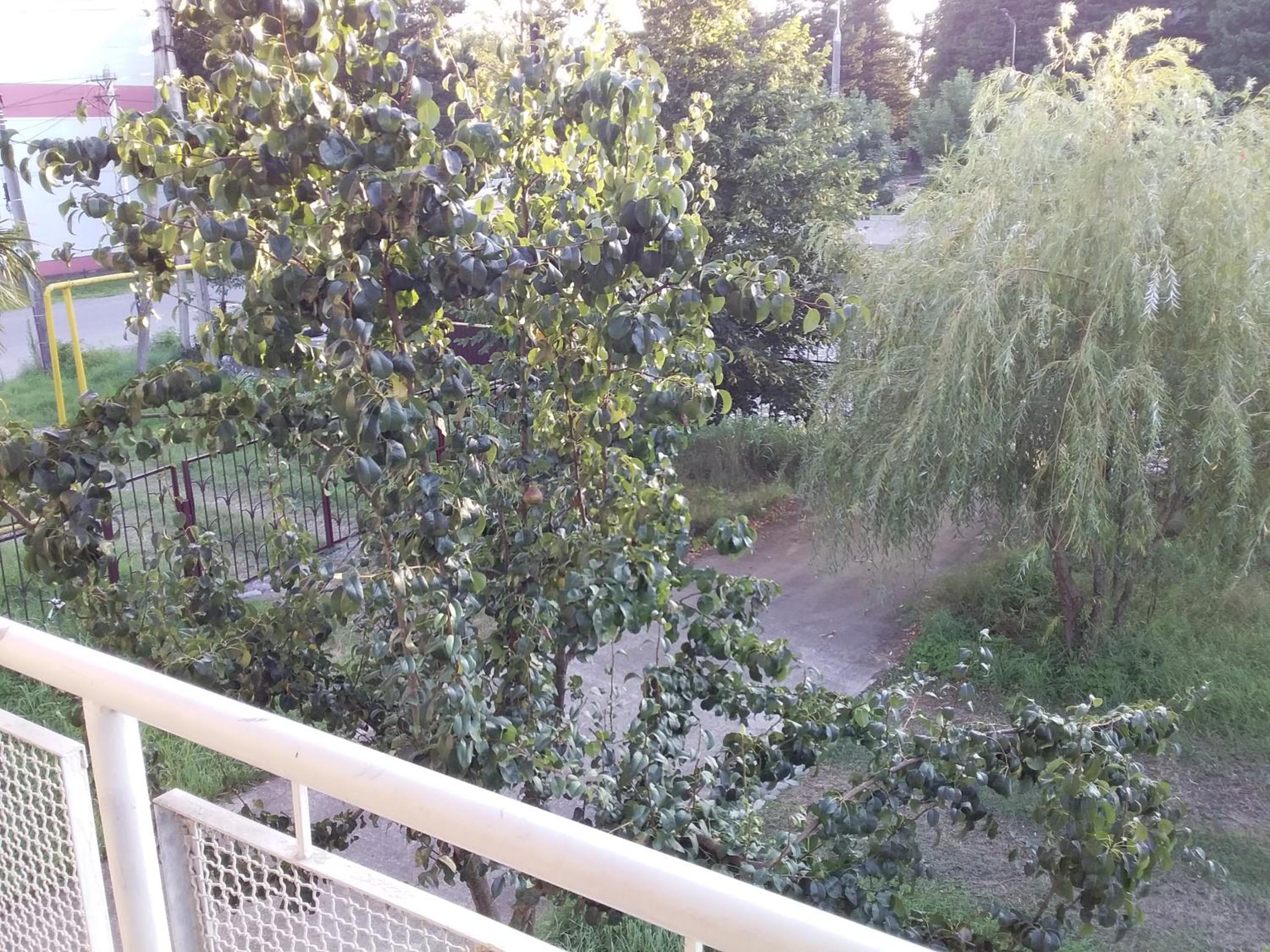 Photo 33