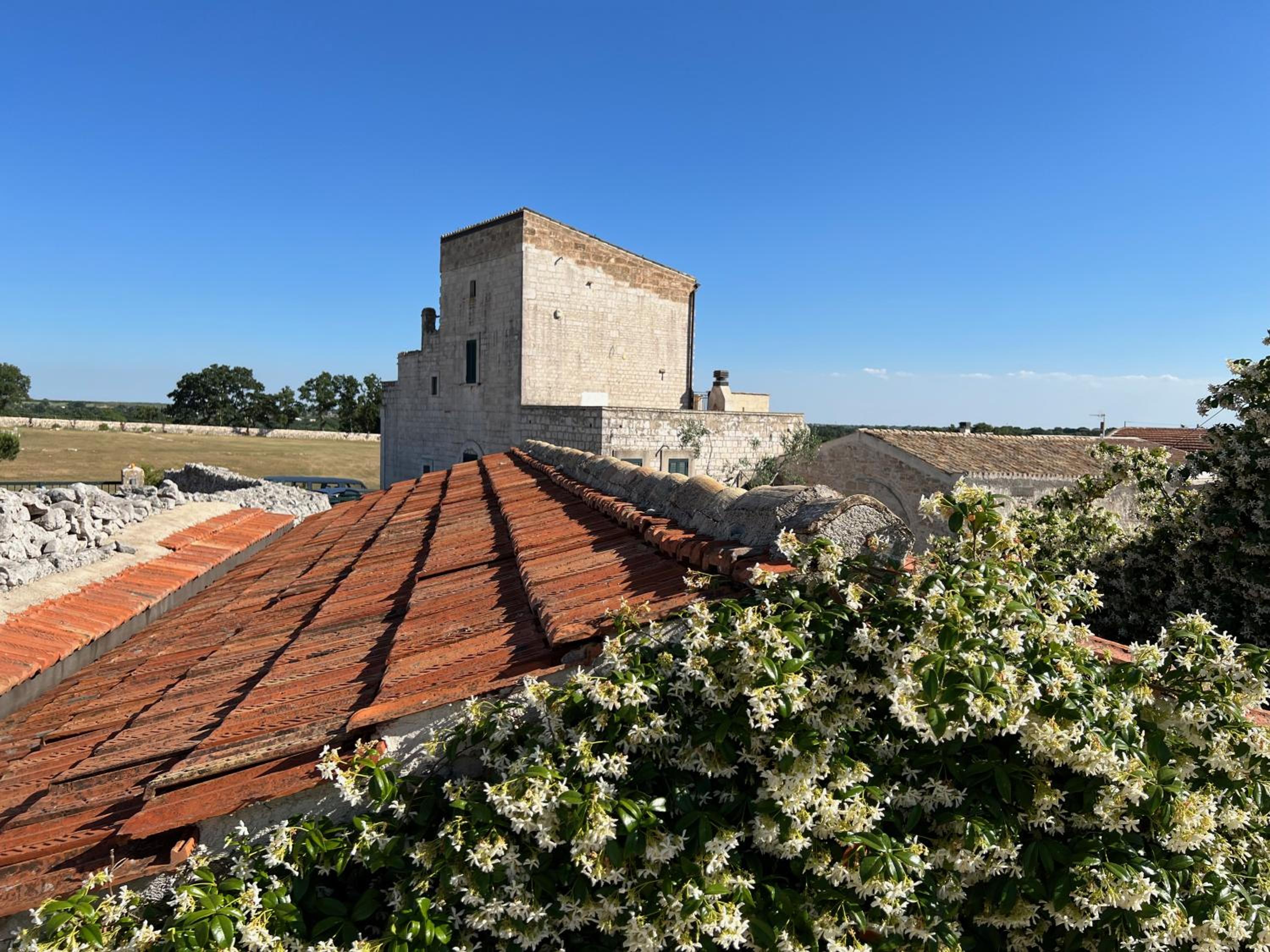Masseria Contursi - Donna Camilla view 5