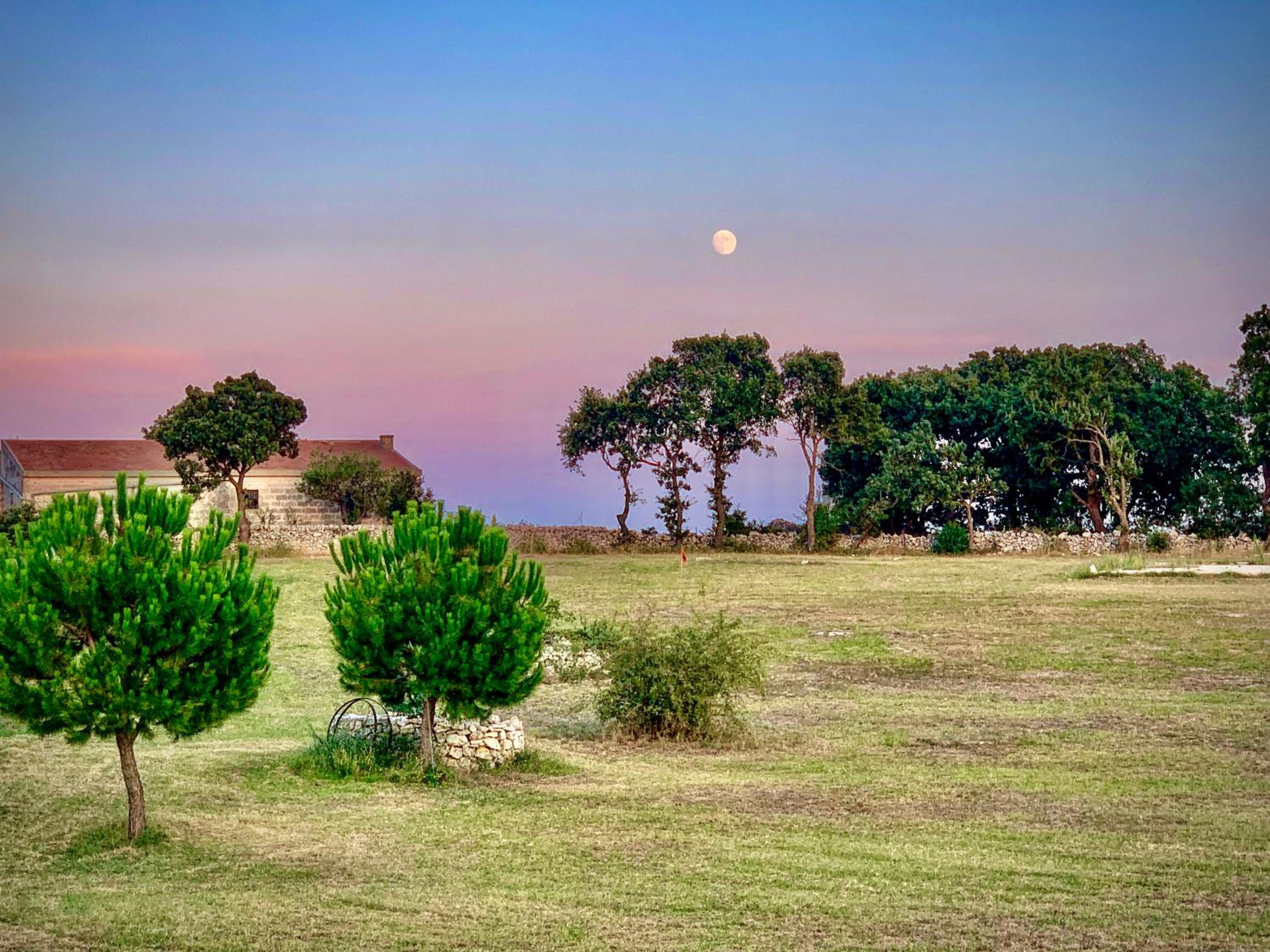 Masseria Contursi - Donna Camilla view 2