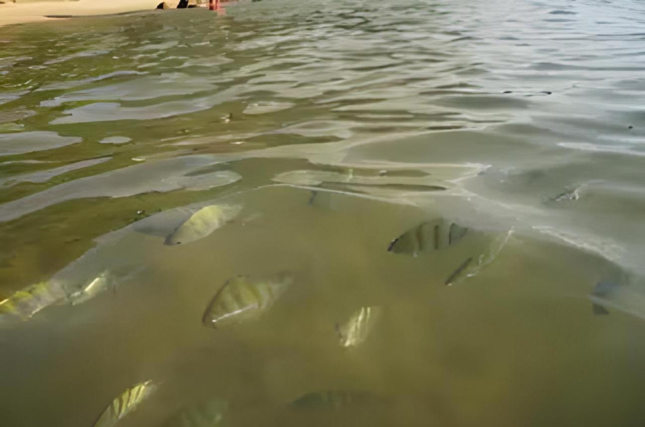 Ilhabela 1 verde Praia do Julião suíte a 70 m da areia