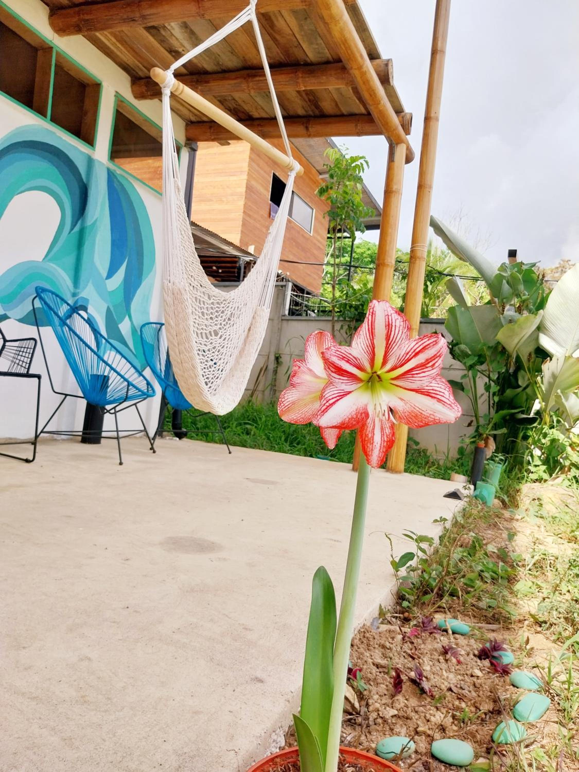 Flor de bambú