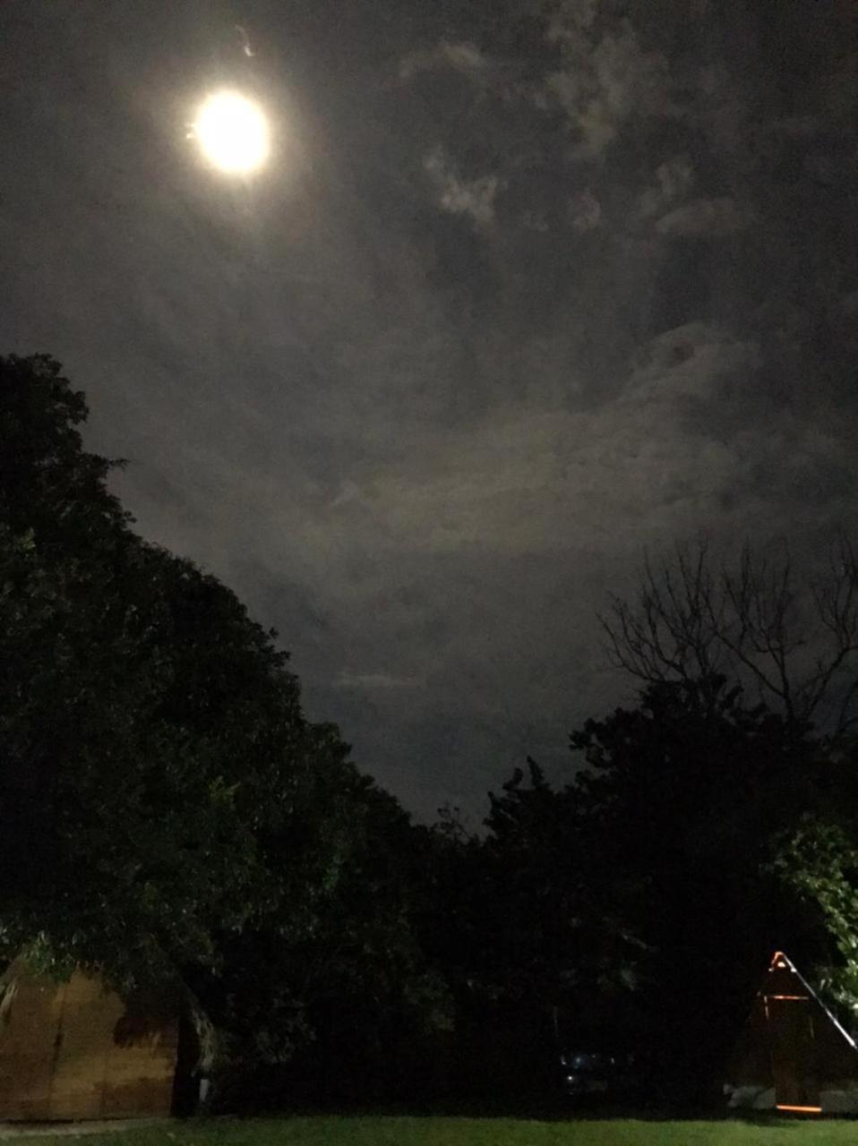 Finca Alto Bonito