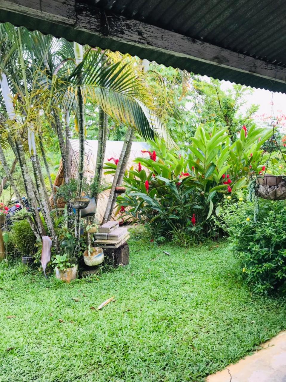Finca Alto Bonito