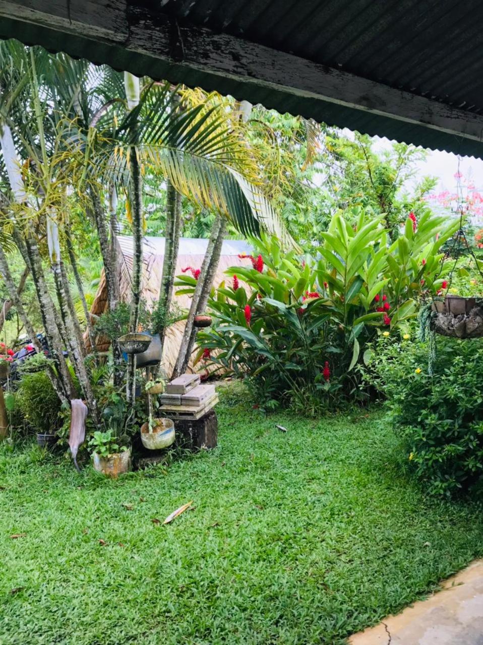 Finca Alto Bonito