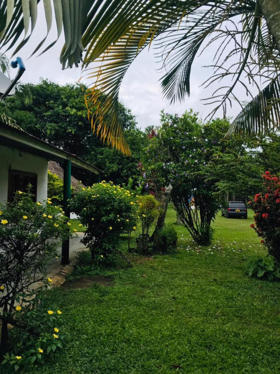 Finca Alto Bonito