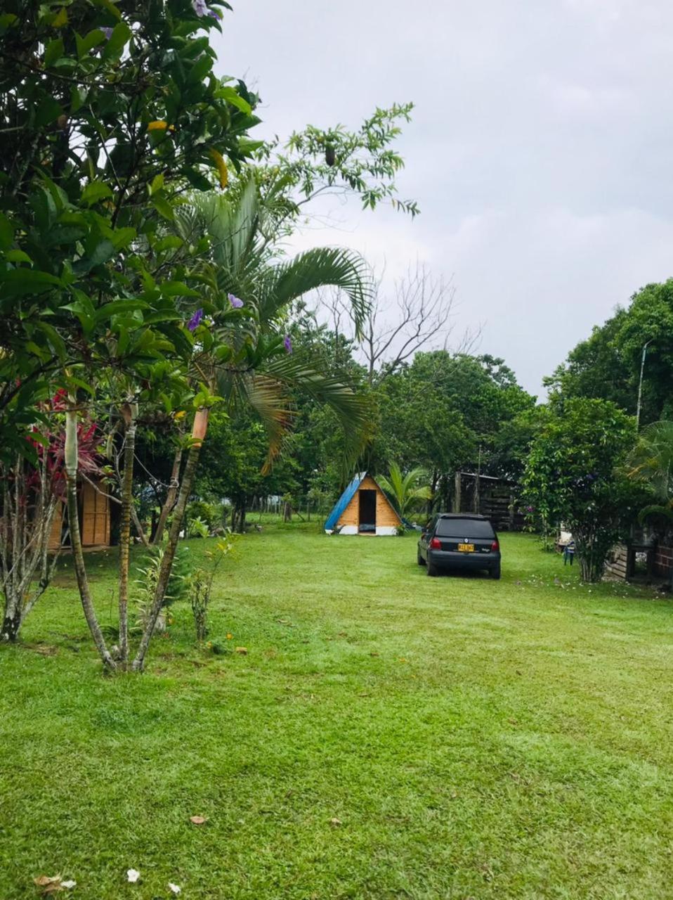 Finca Alto Bonito