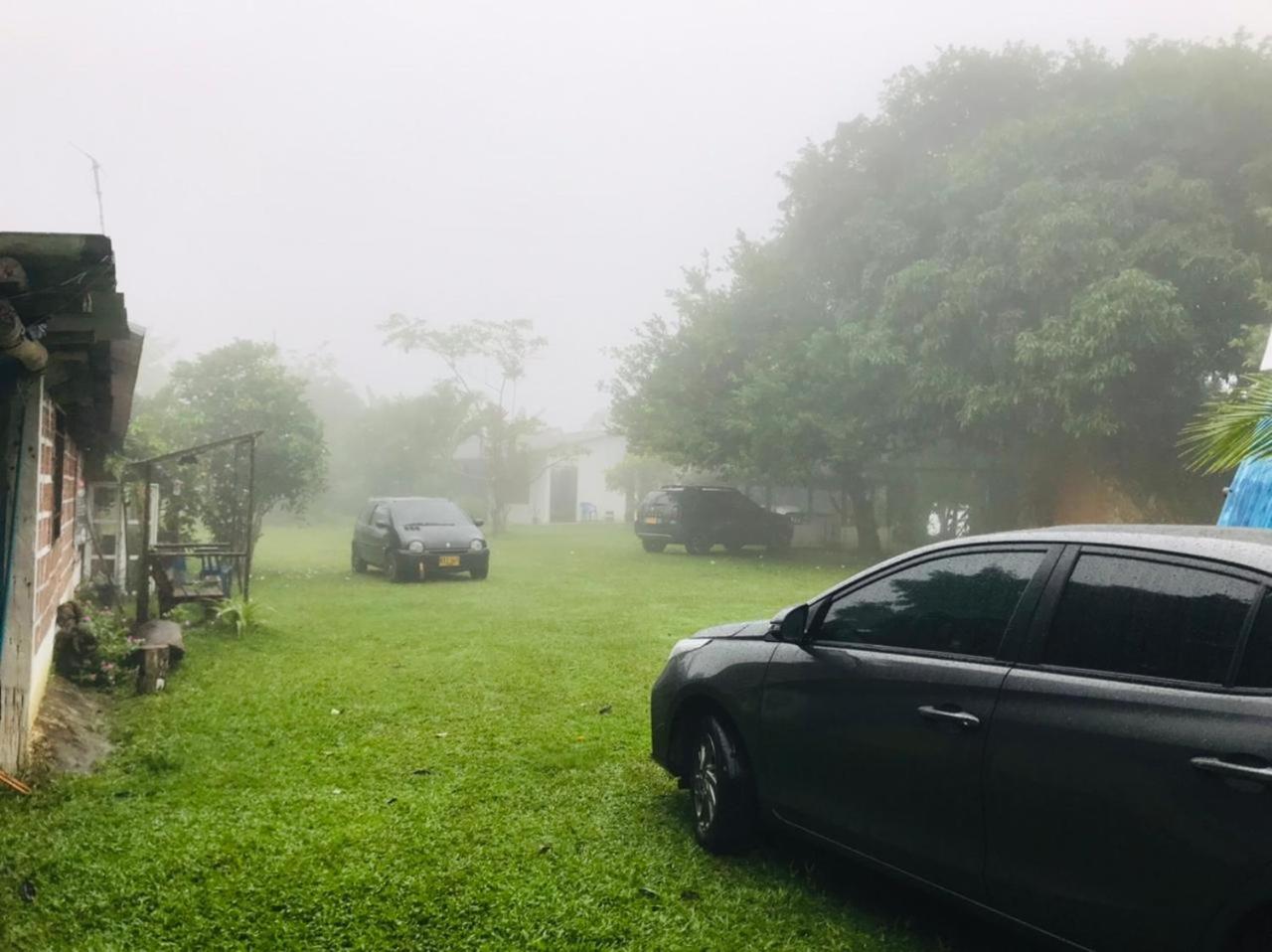 Finca Alto Bonito