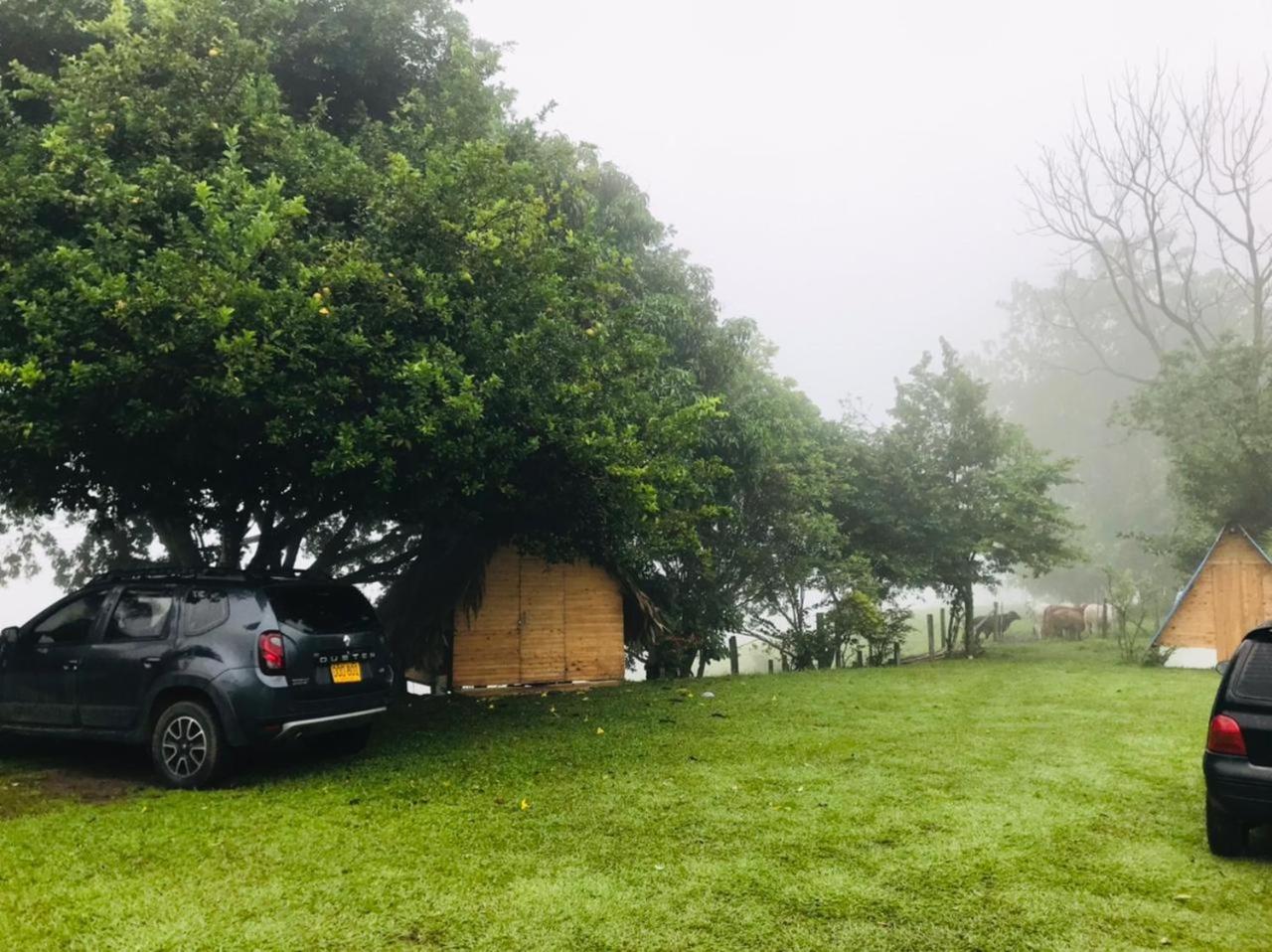 Finca Alto Bonito