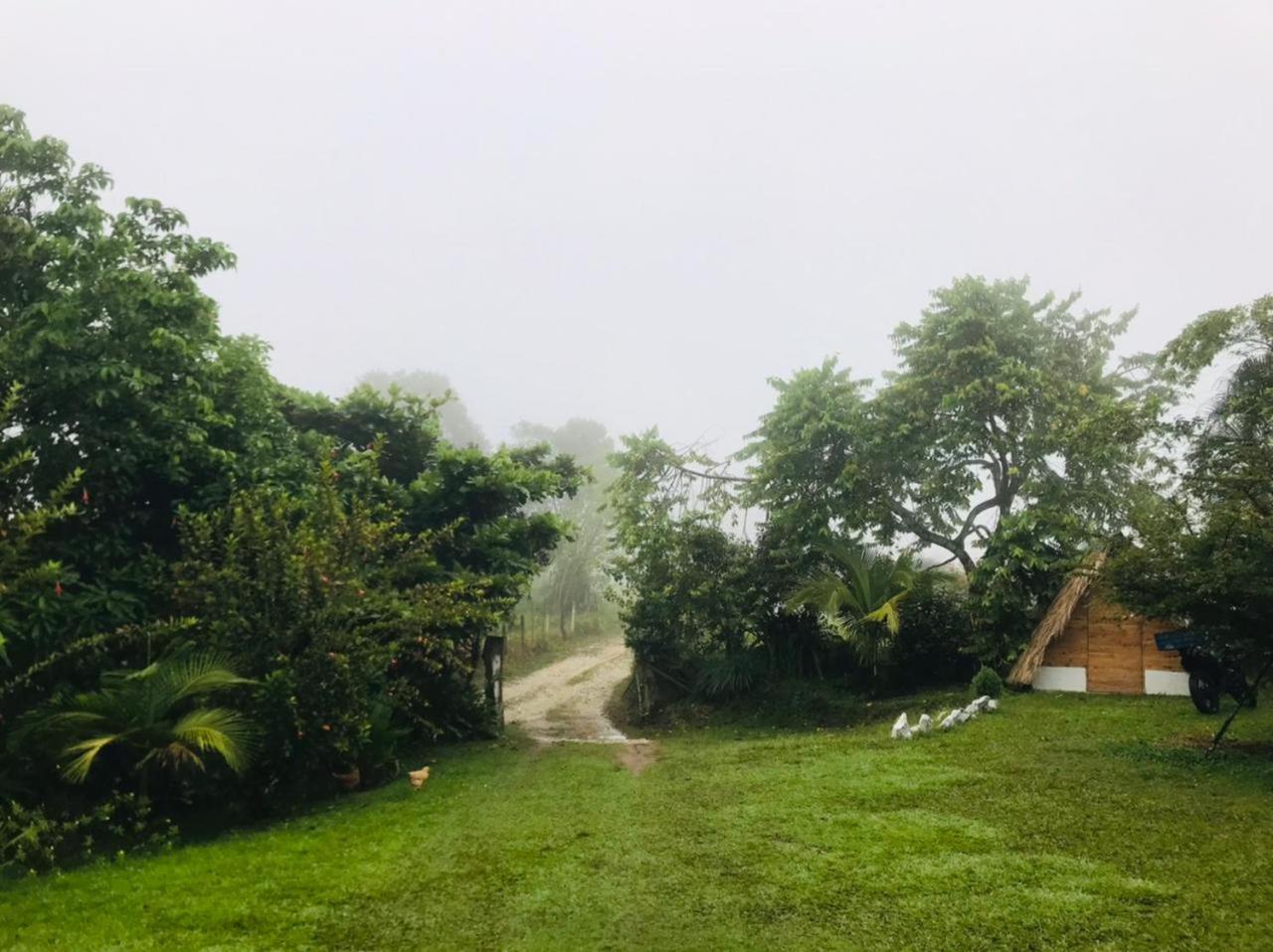 Finca Alto Bonito
