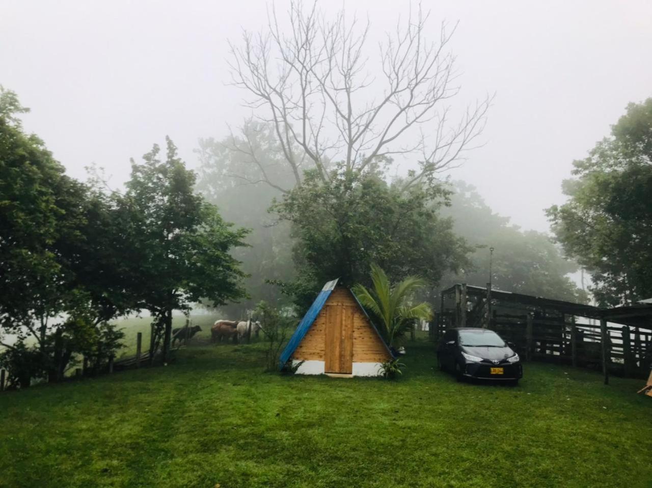 Finca Alto Bonito