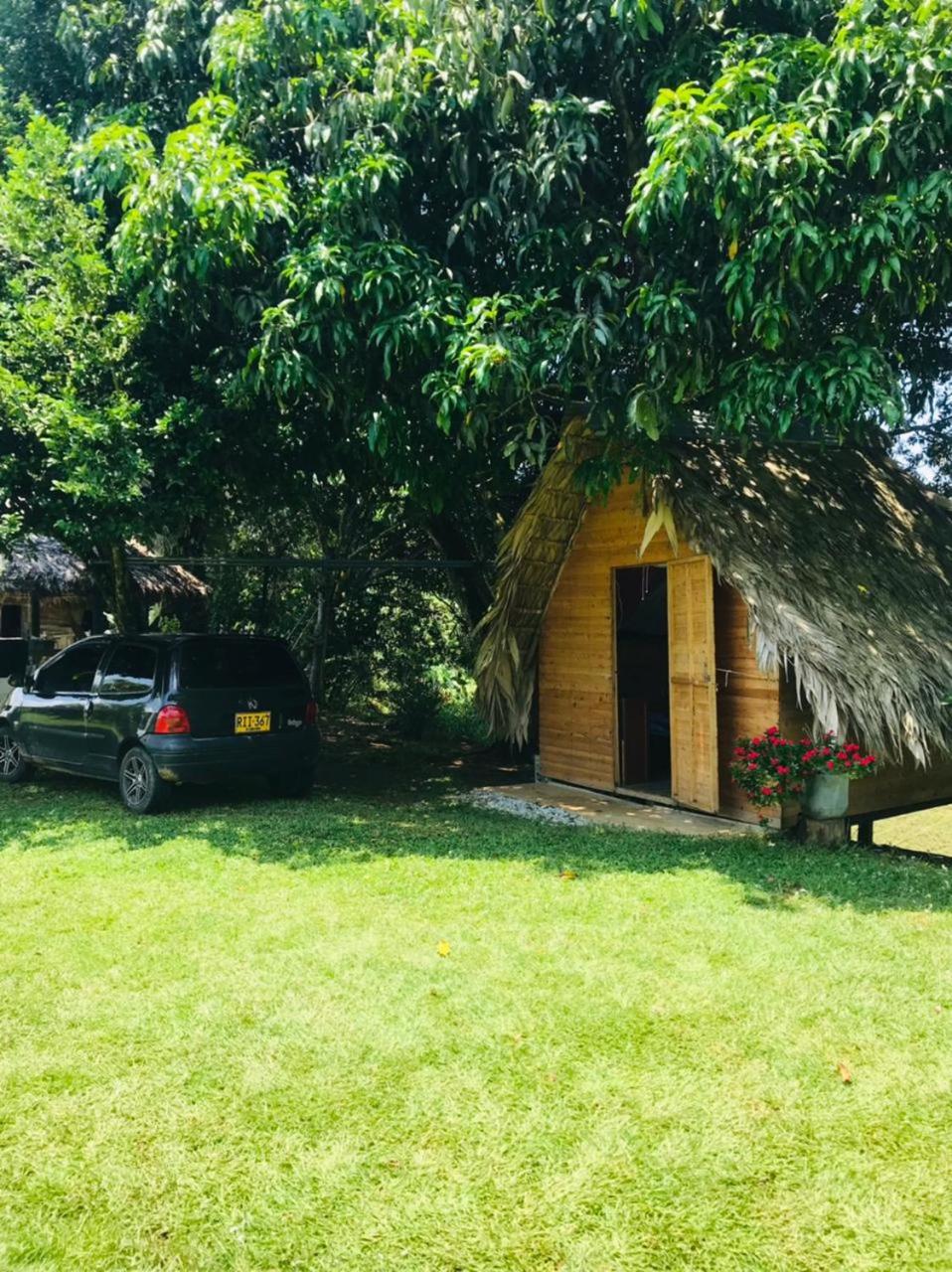 Finca Alto Bonito