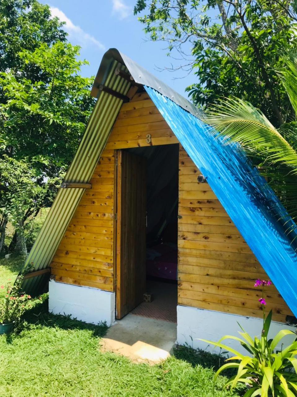 Finca Alto Bonito